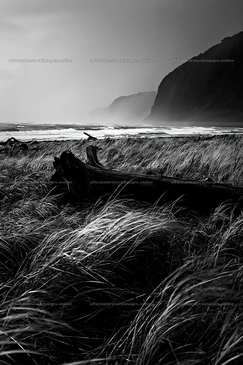 Ishikawa coastal meadow with driftwood during a storm – stock images 6480x9722