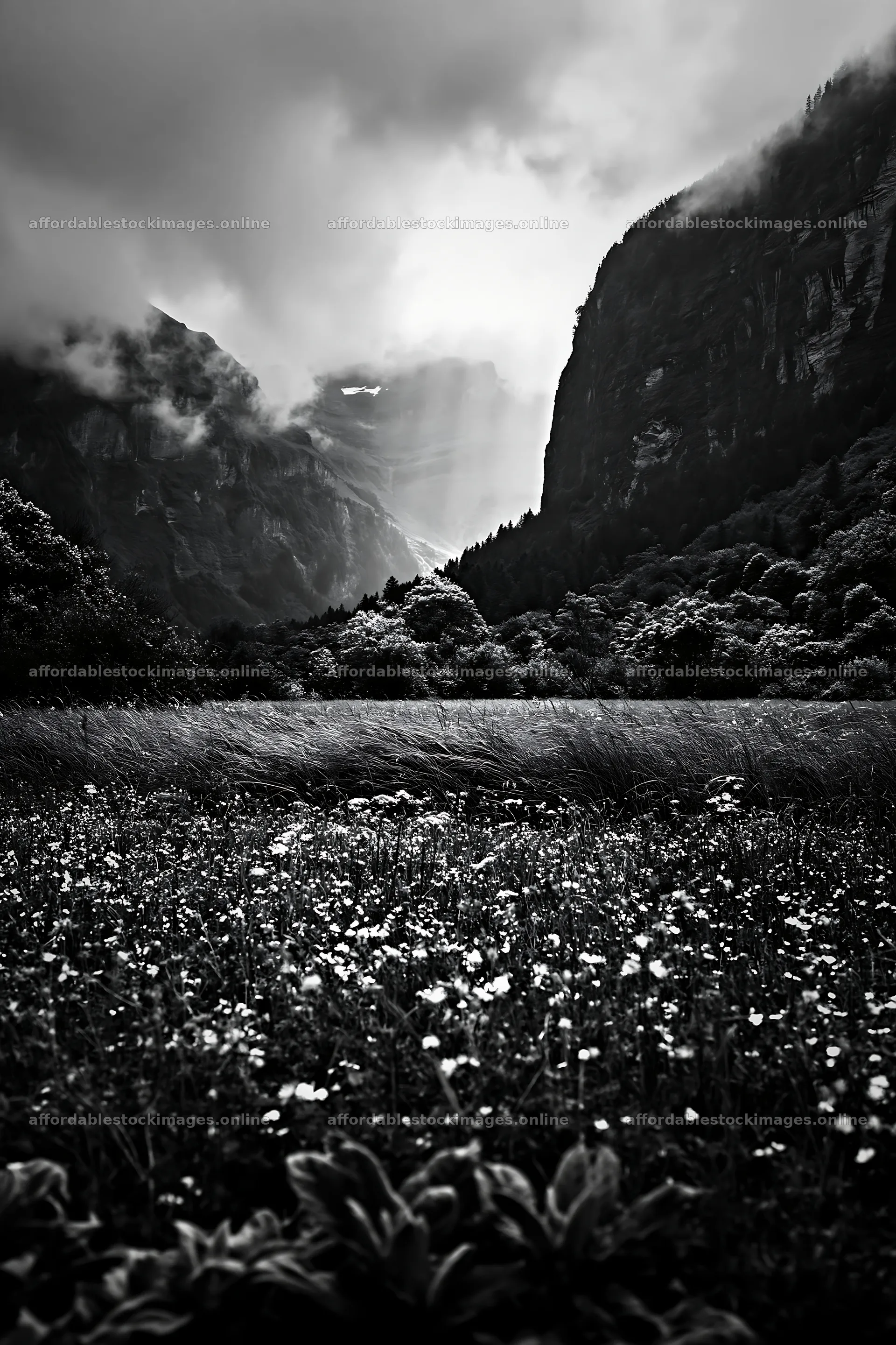 Lauterbrunnen Valley meadow and light rays through mountains – stock images 6480x9722