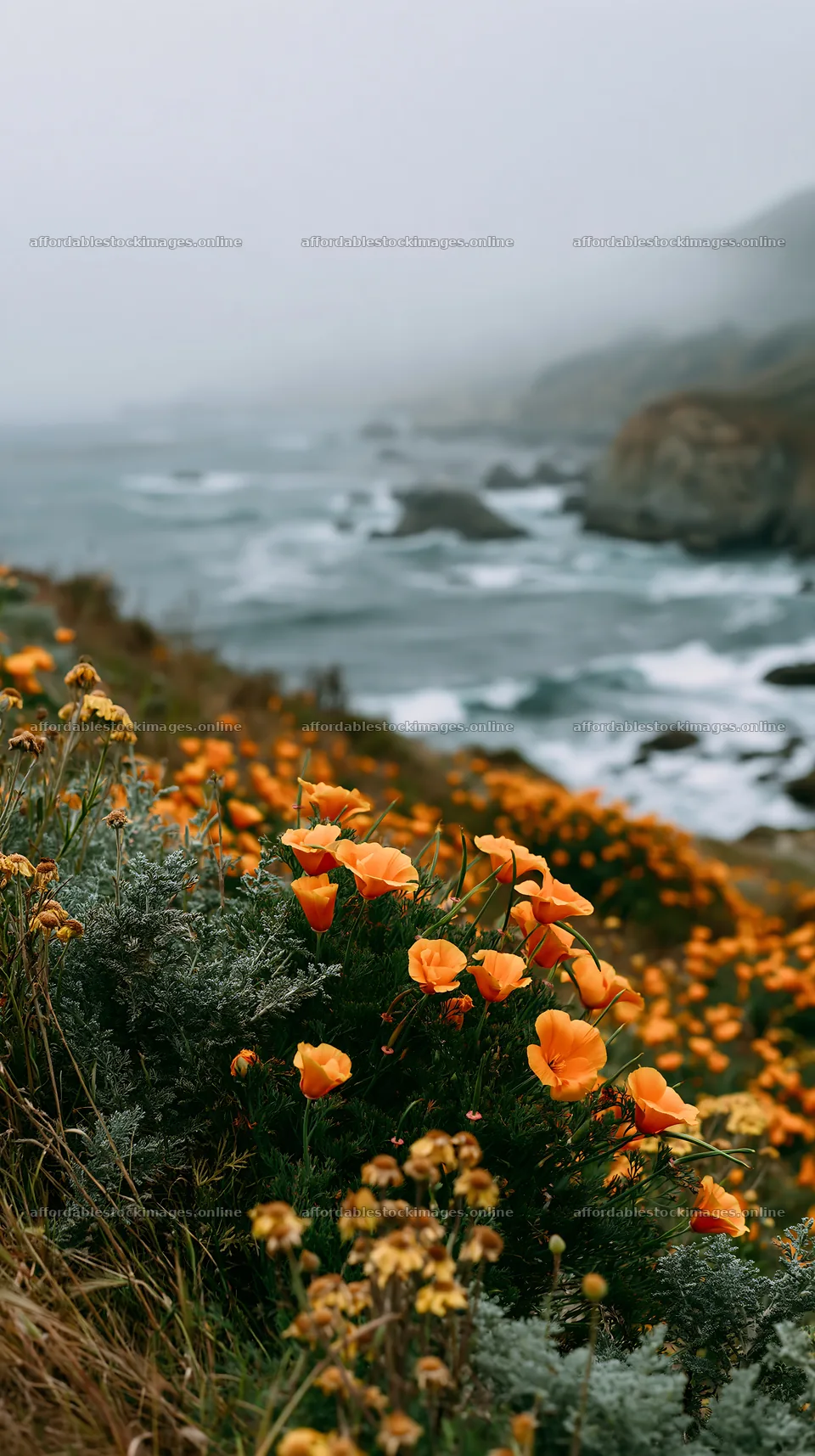 Colorful flowers near beach waves on a foggy day – stock images 5938x10608