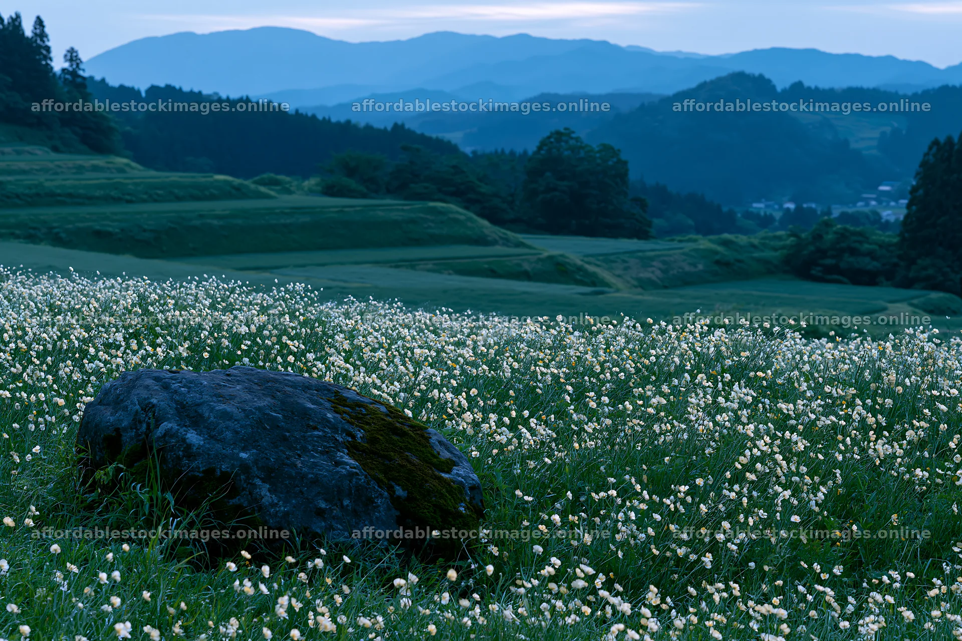 Miyagi spring recovery meadow mossy stone in a mountain area – stock images 9722x6480