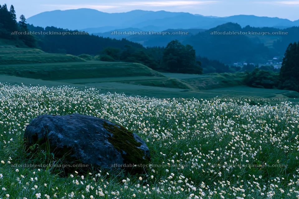 Miyagi spring recovery meadow mossy stone in a mountain area – stock images 9722x6480