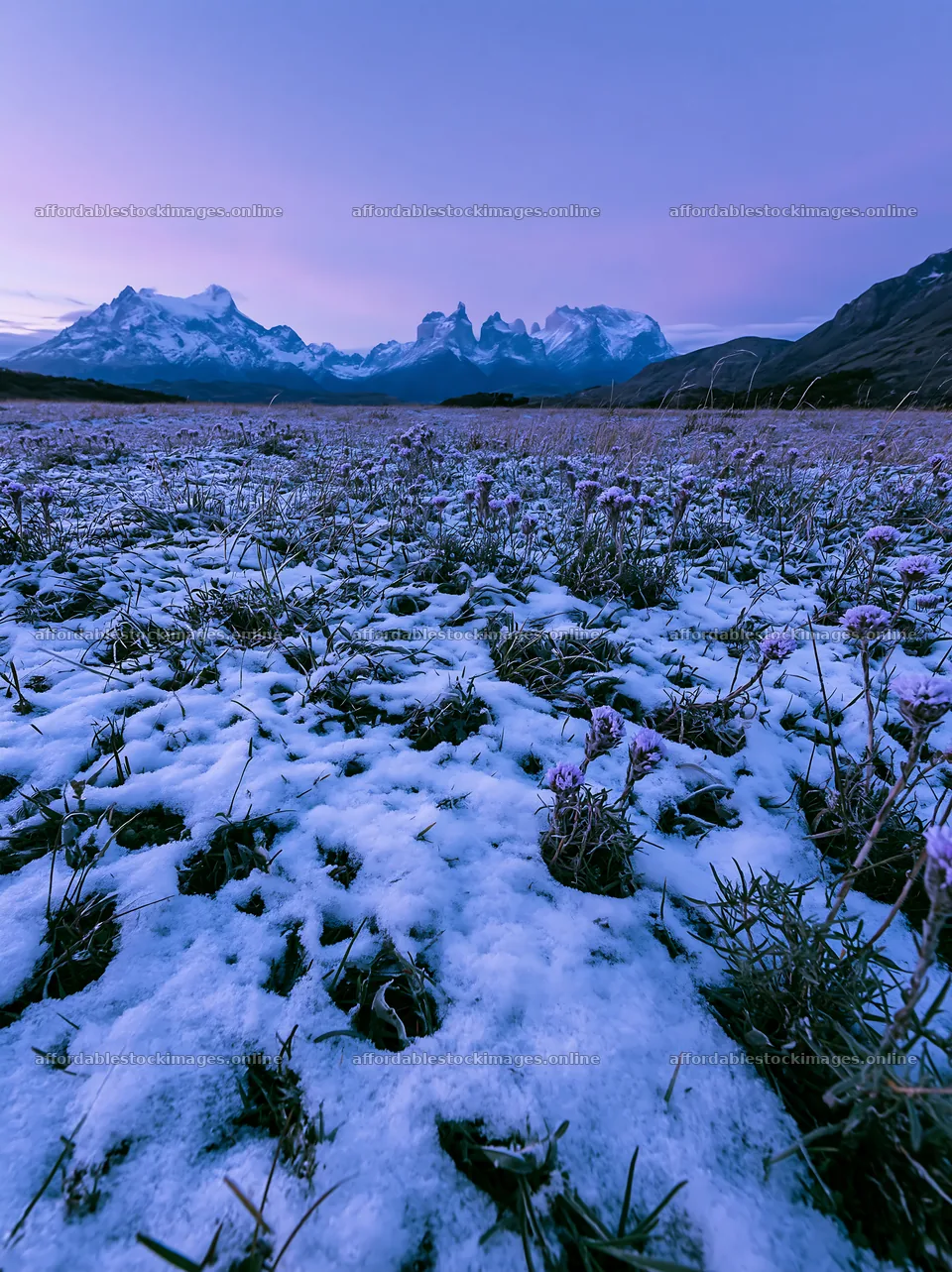 Torres del Paine meadow snow during twilight – stock images 6866x9174
