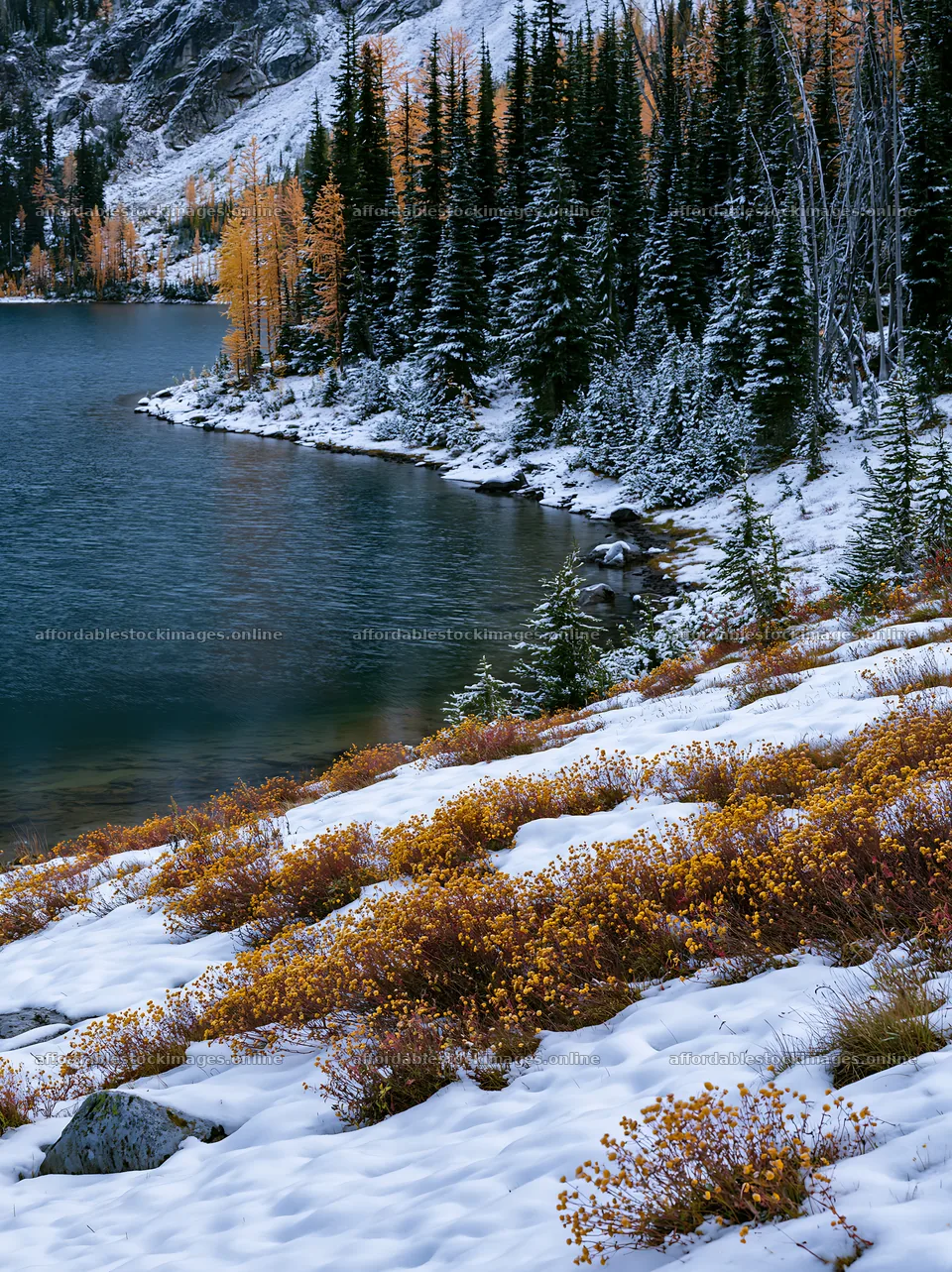 Lakeside meadow after first snowfall in autumn – stock images 6866x9174