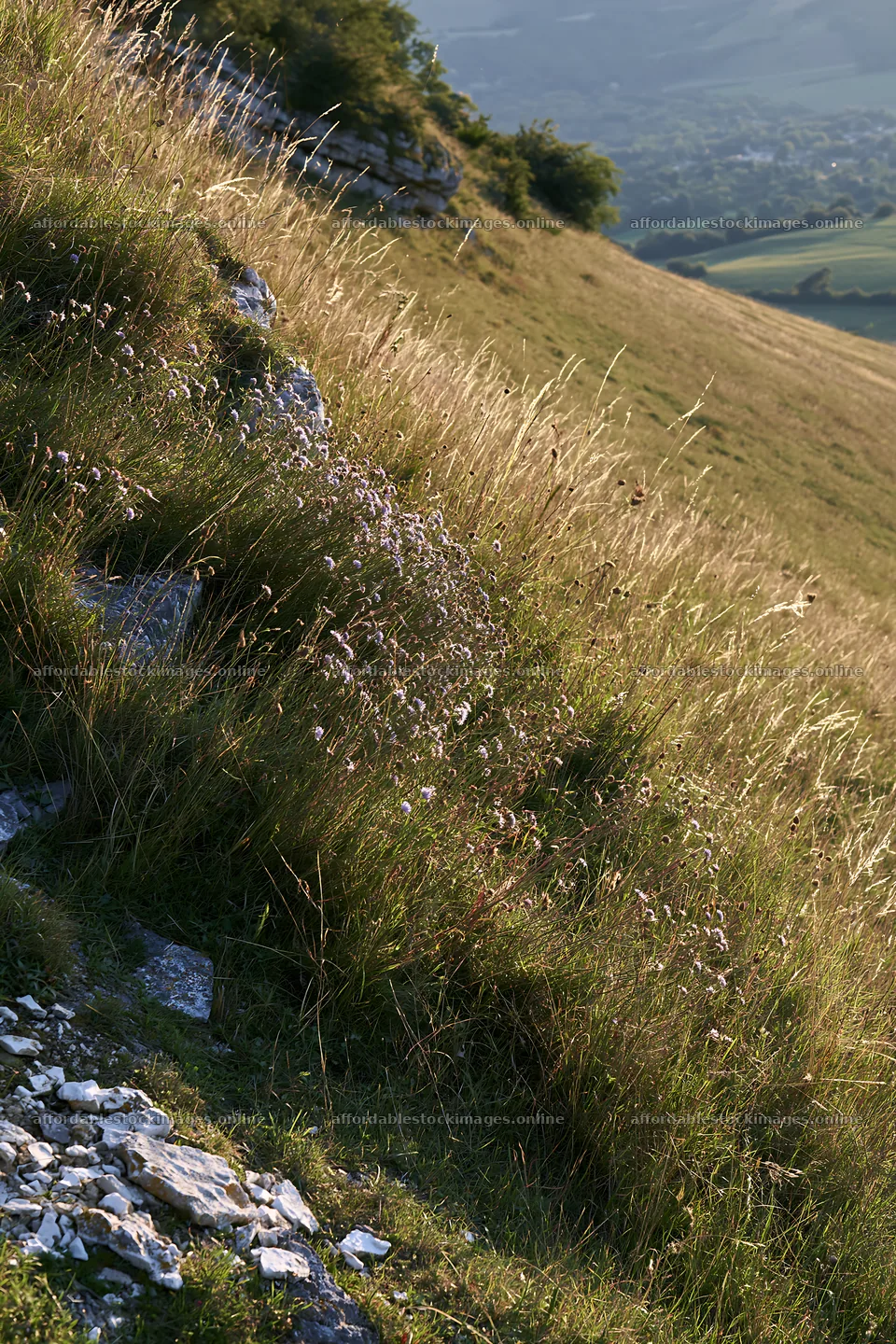 Sunny dry meadow hillside with tall grass and rocks – stock images 6480x9722