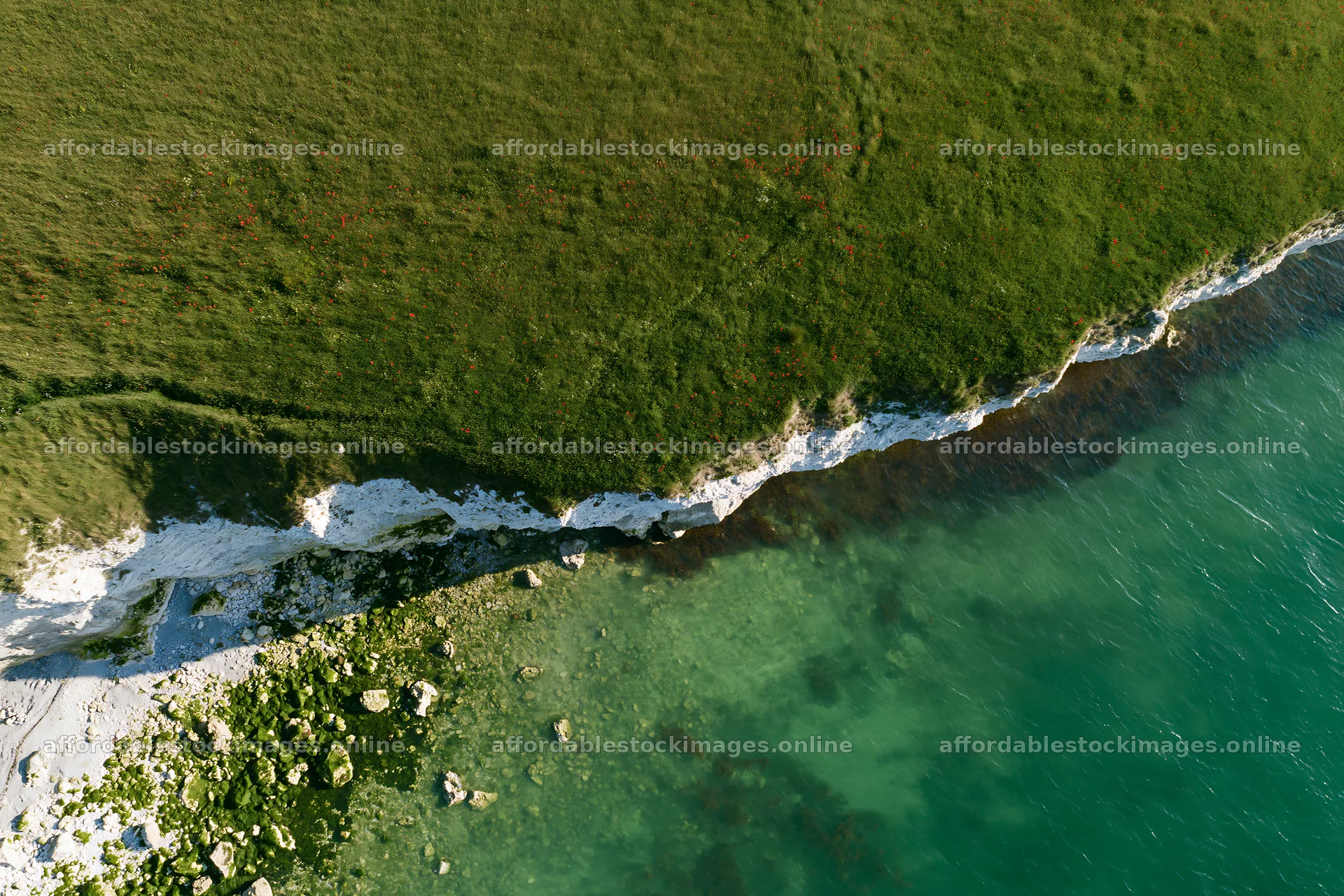 Clifftop meadow overlooking the ocean with rocky shore – stock images 9722x6480