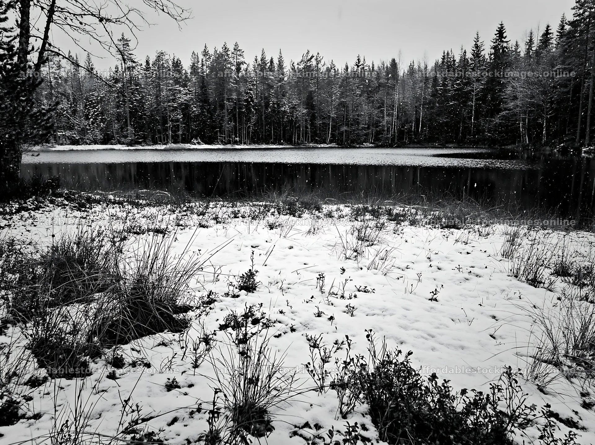 Lakeside meadow after first snowfall with red vegetation – stock images 9174x6866