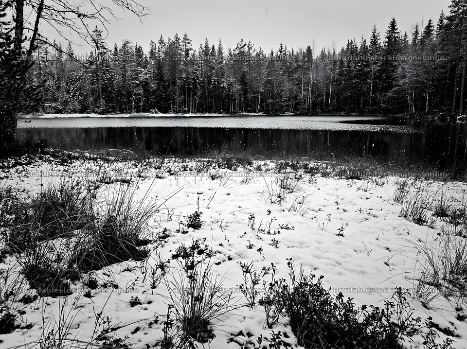 Lakeside meadow after first snowfall with red vegetation – stock images 9174x6866