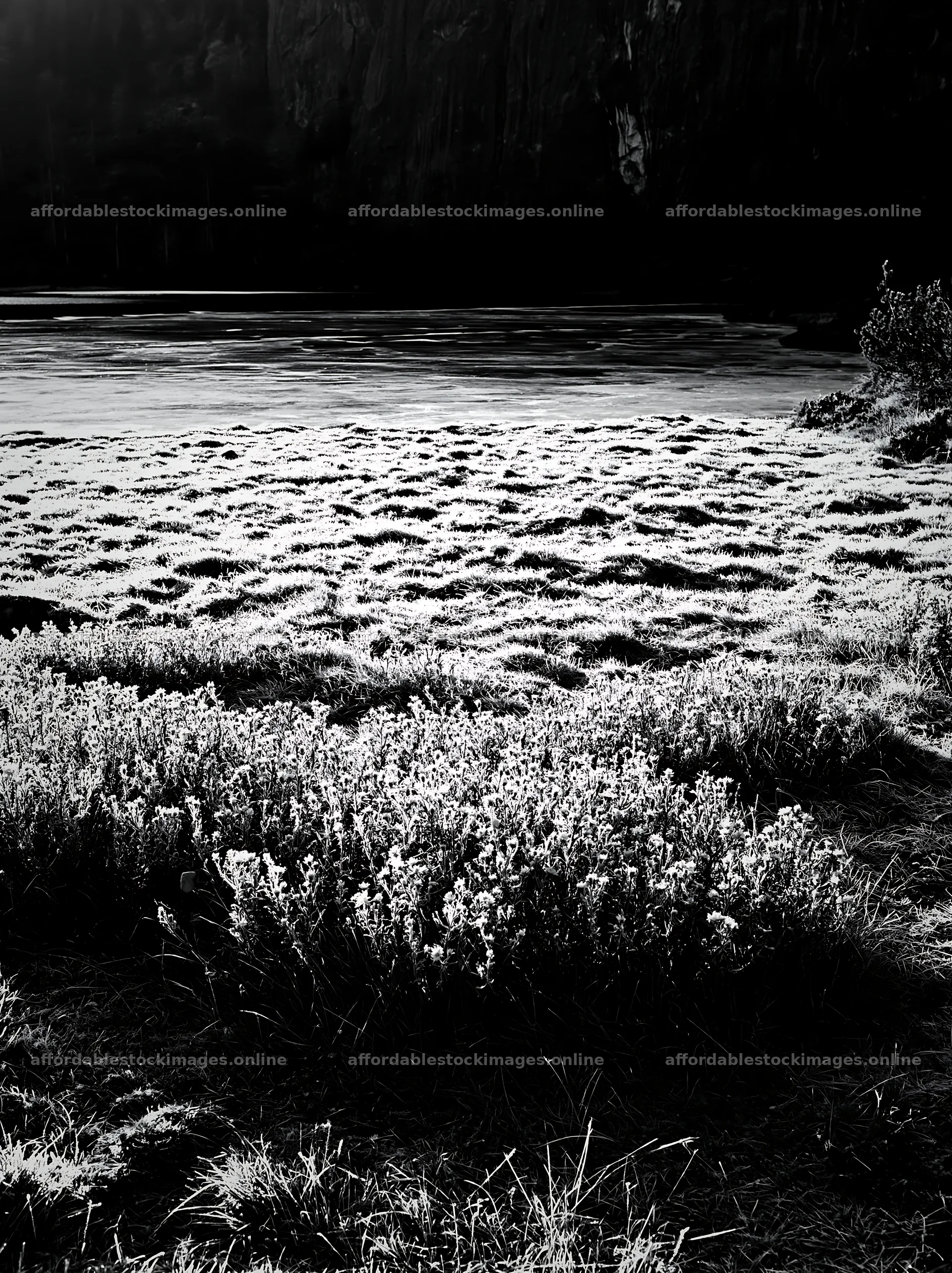 Frozen tarn meadow in black and white landscape setting – stock images 6866x9174