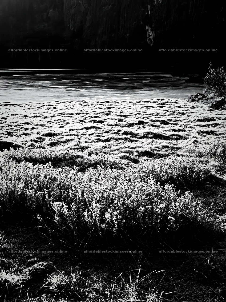 Frozen tarn meadow in black and white landscape setting – stock images 6866x9174