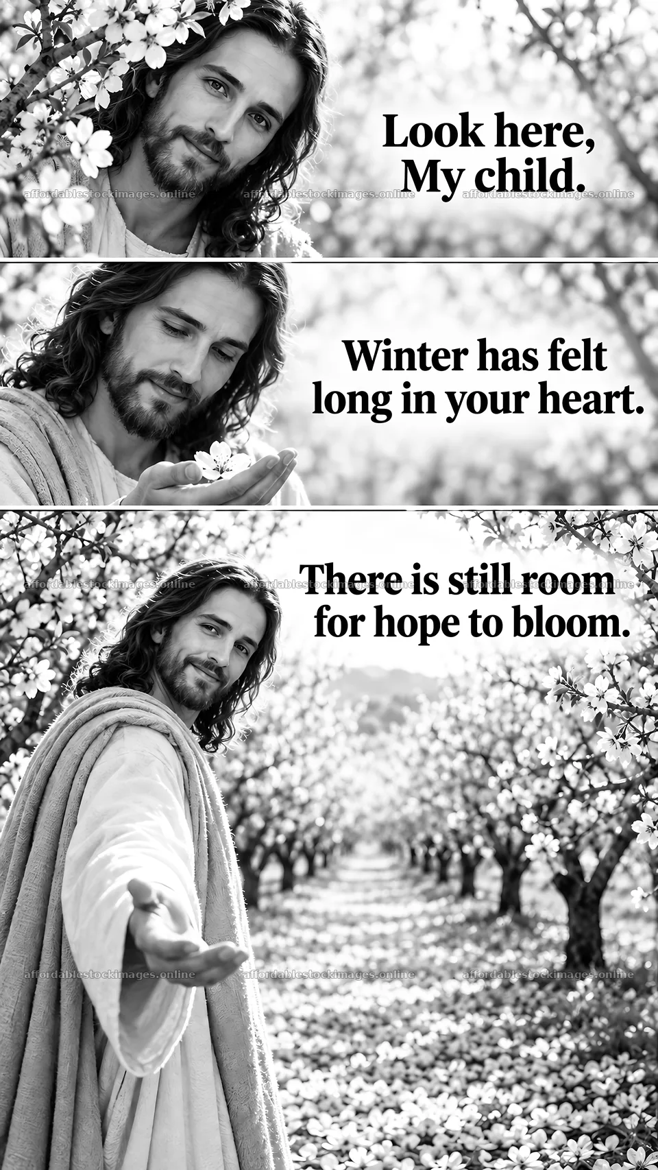 Jesus Christ offers hope and comfort in a blossoming orchard – stock images 5811x10326