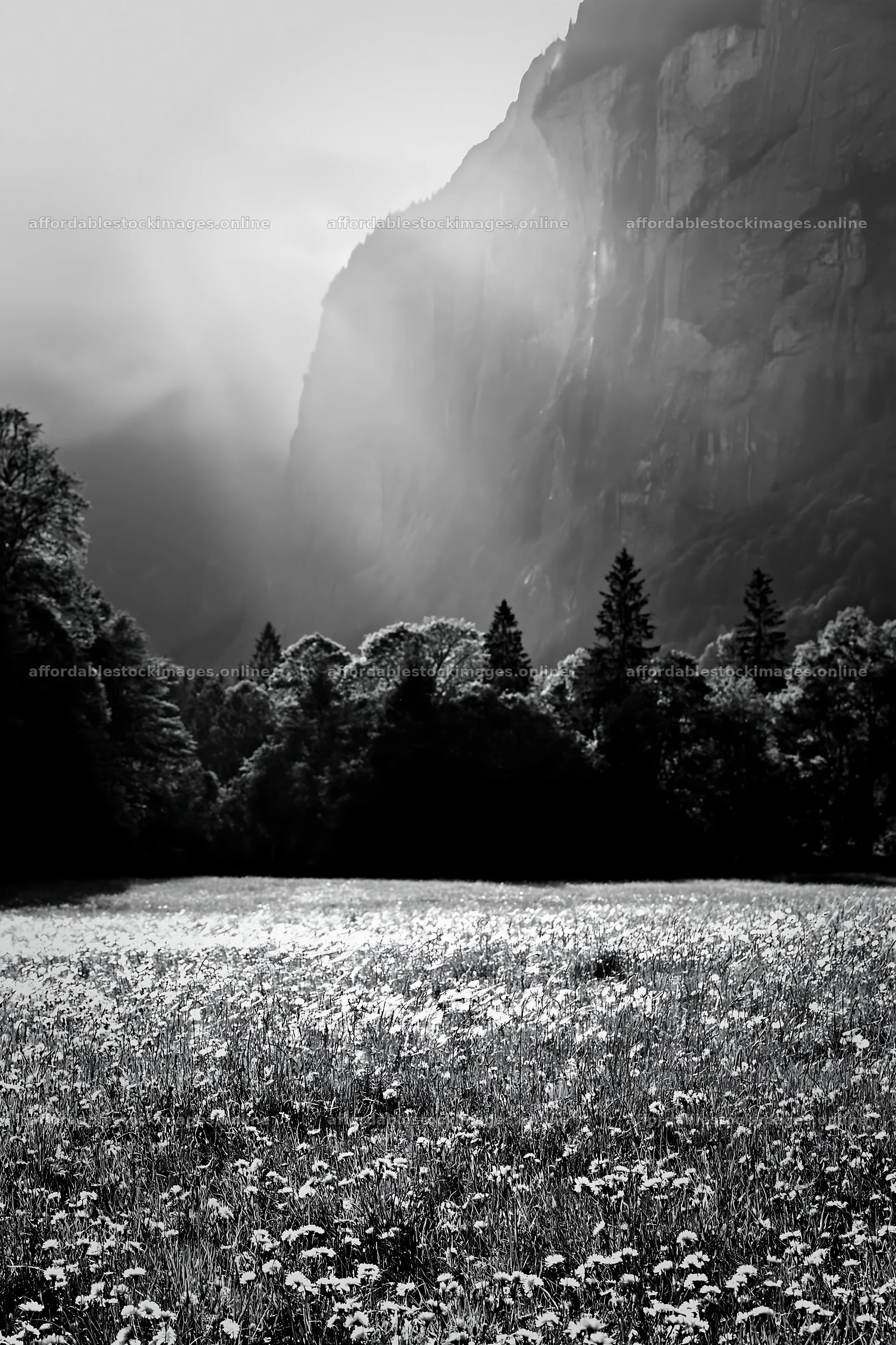 Light rays over meadow in Lauterbrunnen Valley – stock images 6480x9722