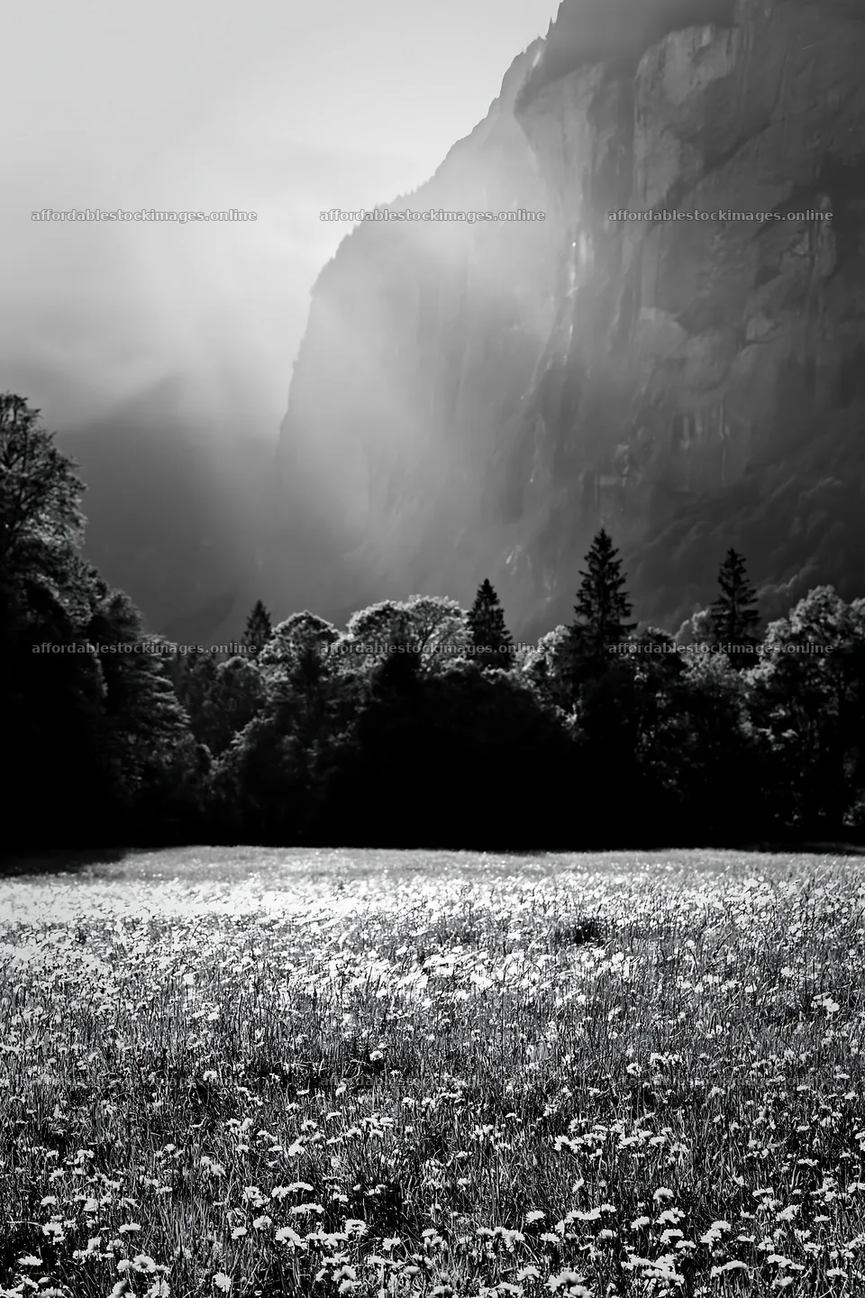 Light rays over meadow in Lauterbrunnen Valley – stock images 6480x9722