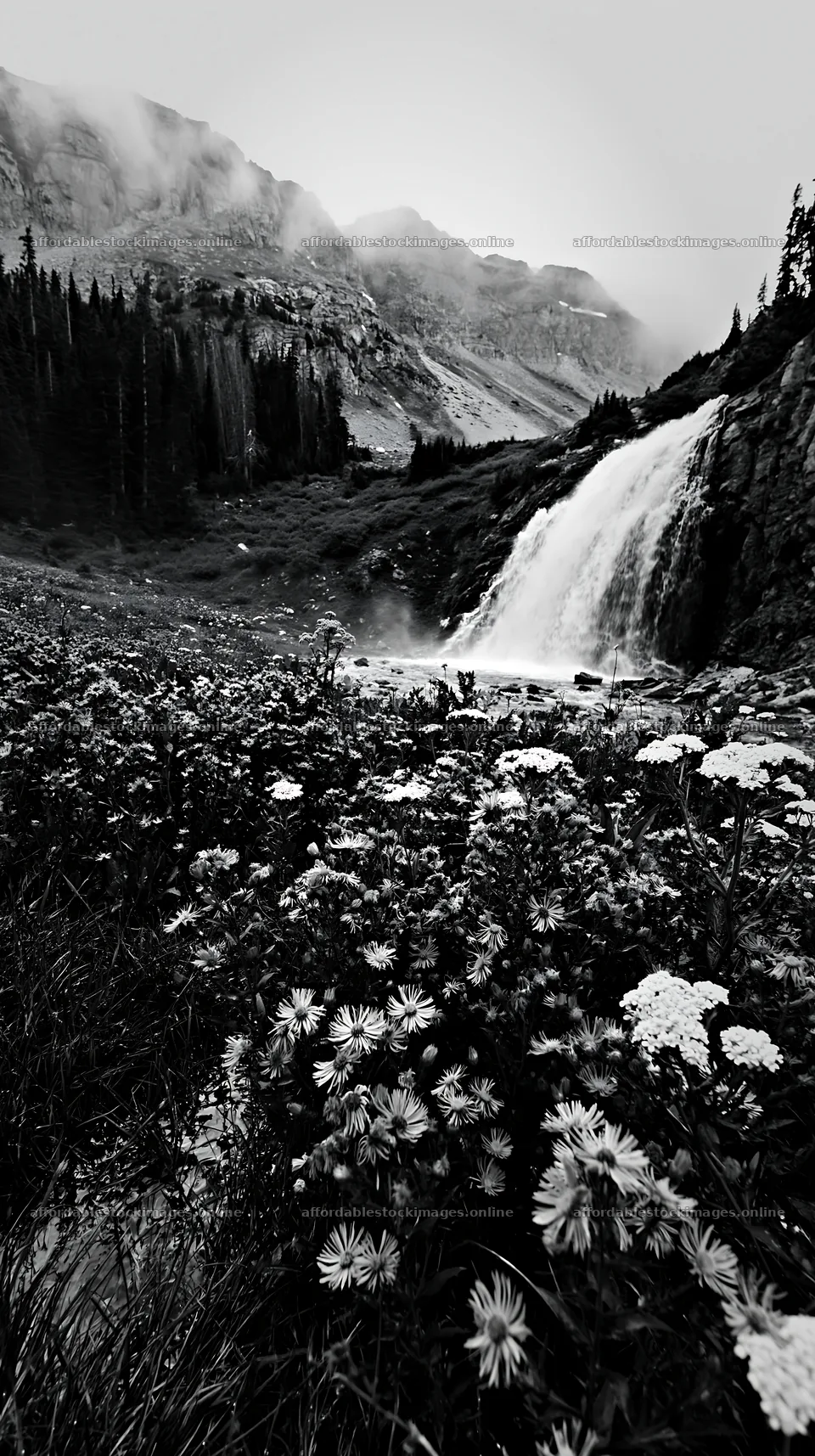 Alpine waterfall flowing through a flower meadow – stock images 5938x10608