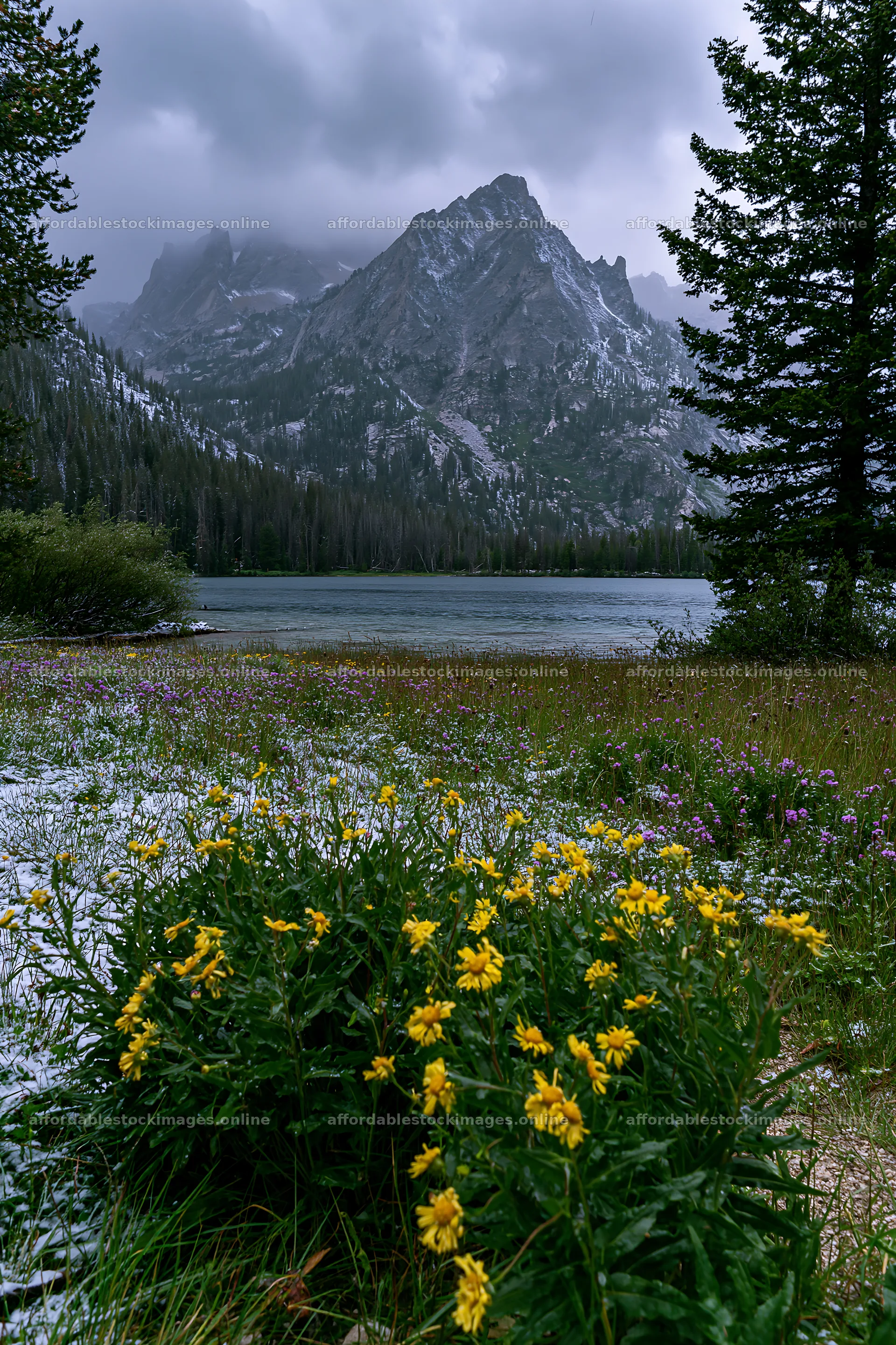 Snowy lakeside meadow with mountains and clouds in the – stock images 6480x9722