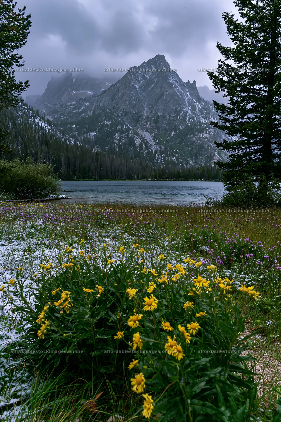 Snowy lakeside meadow with mountains and clouds in the – stock images 6480x9722