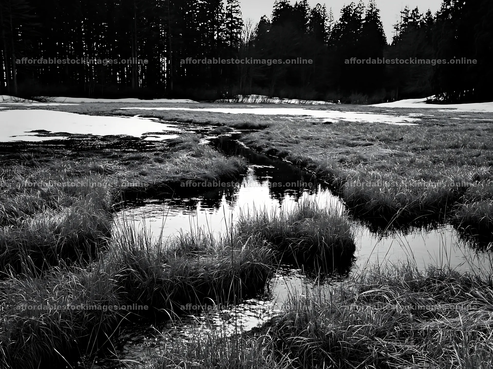 Akita snowmelt meadow with silver grasses – stock images 9174x6866