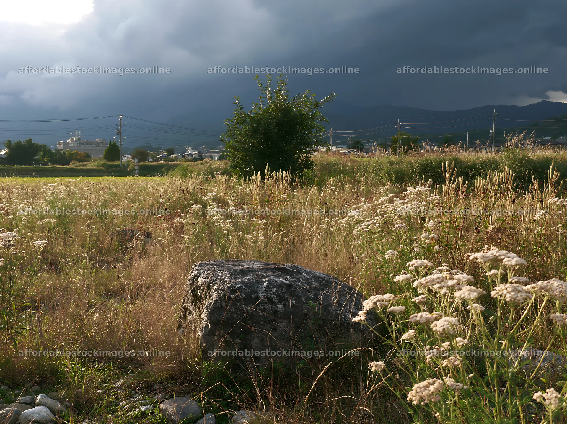 Nagano drought resilient meadow granite boulder under dark – stock images 9174x6866