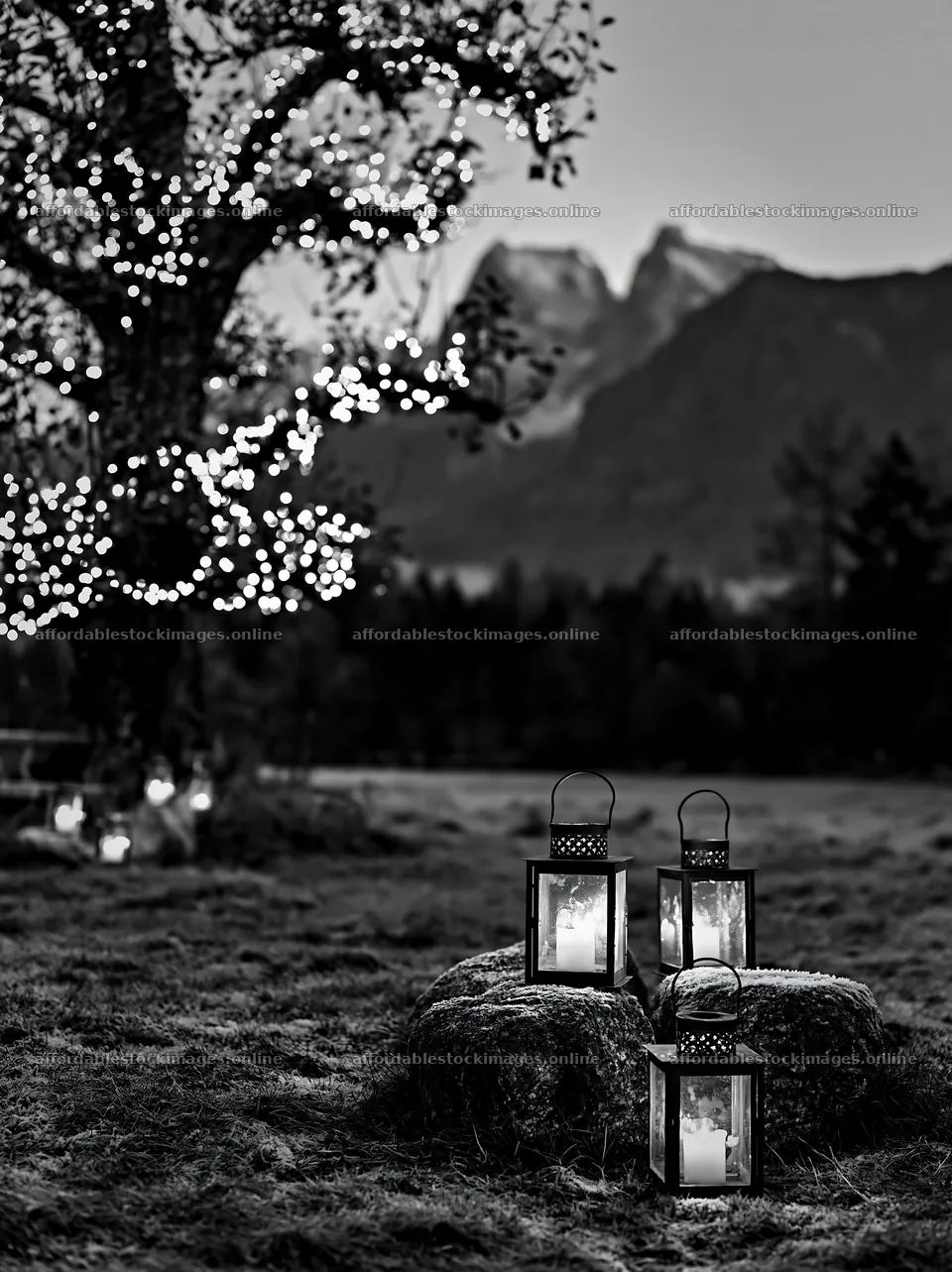Christmas apple tree meadow with frosted stones and lanterns – stock images 6866x9174