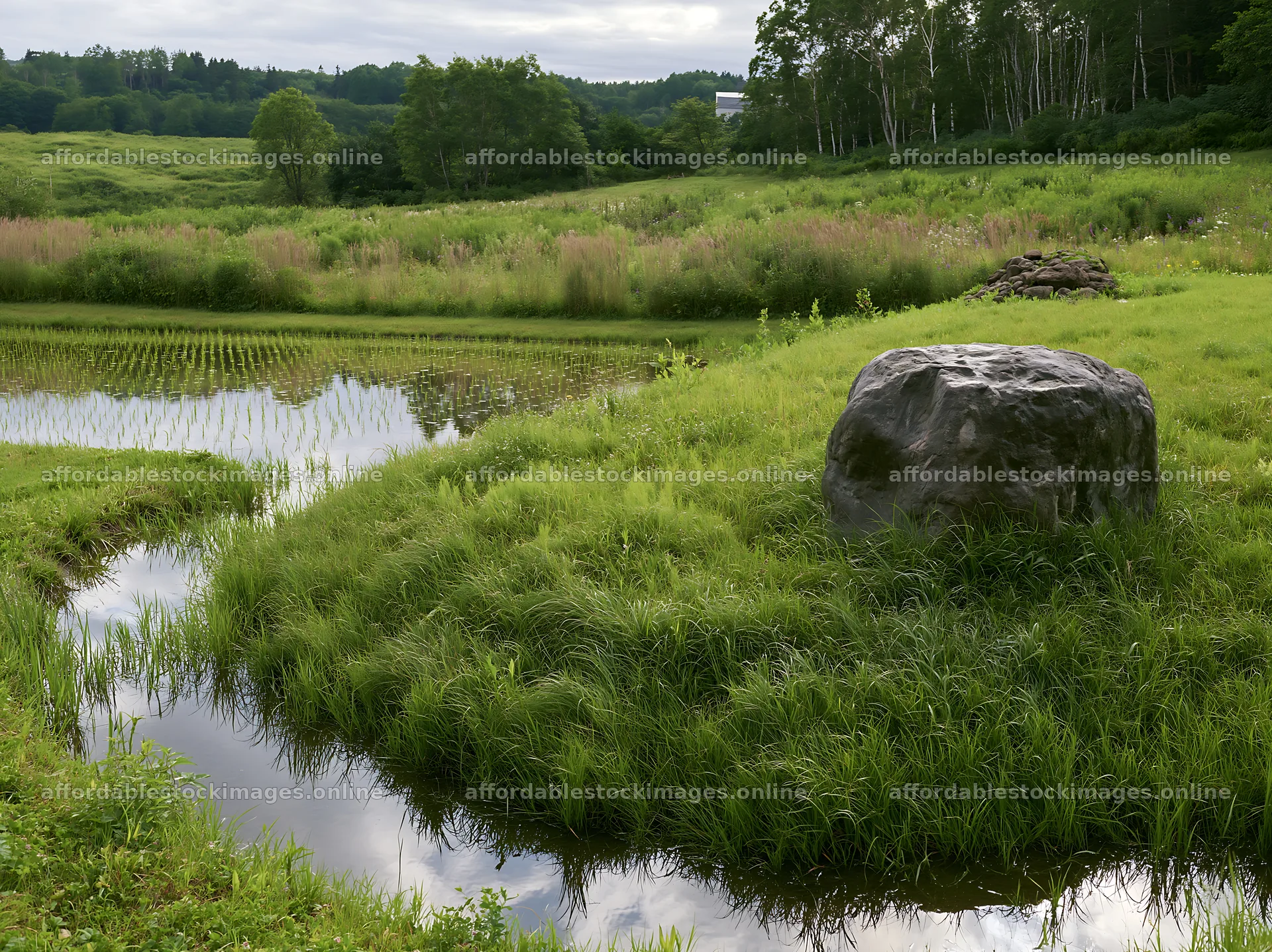Aomori climate resilient meadow with boulder in natural setting – stock images 9174x6866