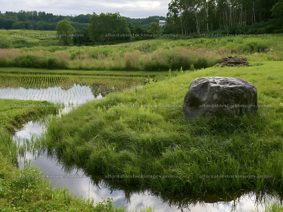 Aomori climate resilient meadow with boulder in natural setting – stock images 9174x6866