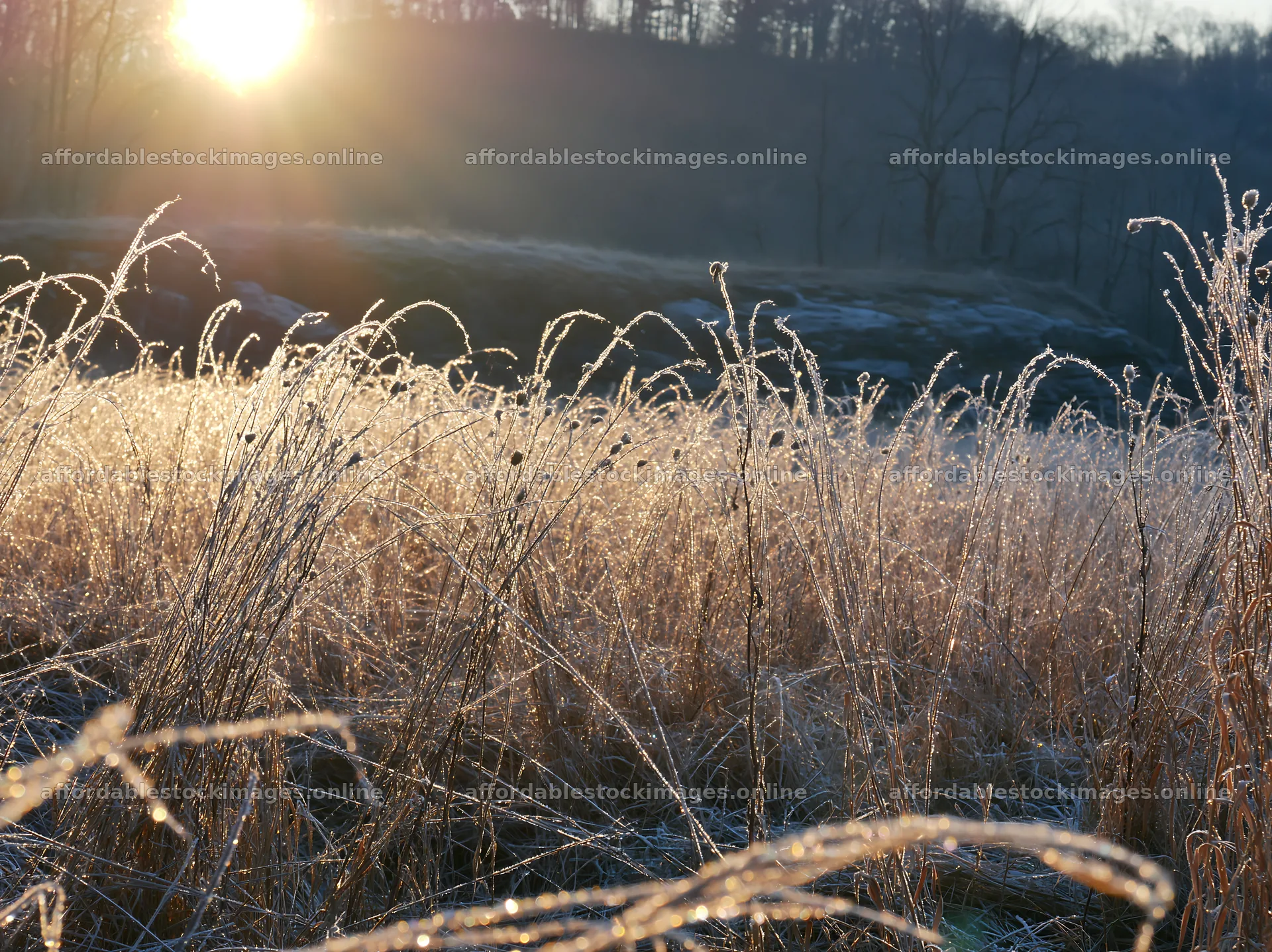 Frosty meadow sunrise with sun illuminating the landscape – stock images 9174x6866