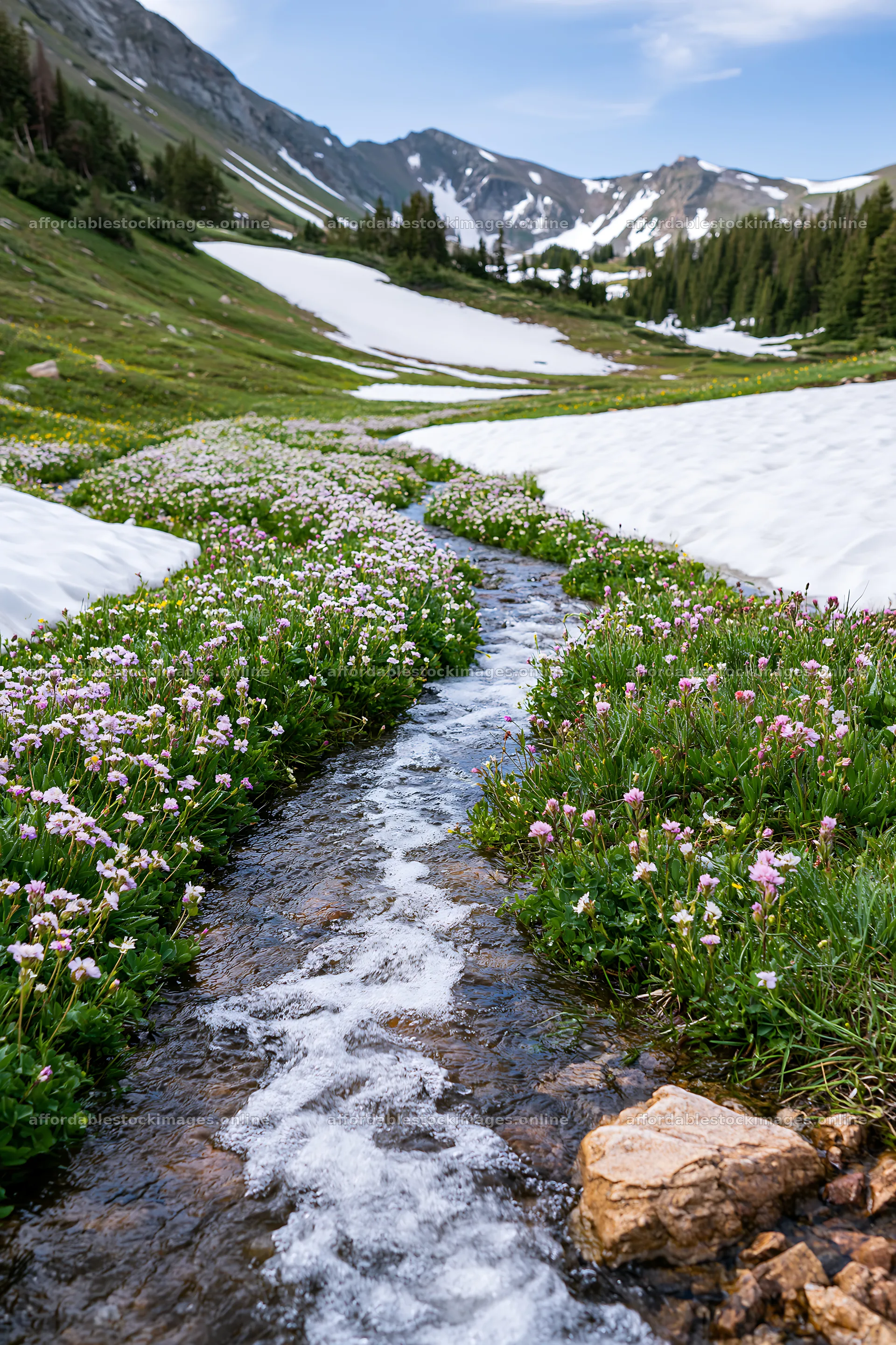 Snowy Rocky Mountain Park meadow with stream and wildflowers – stock images 6480x9722