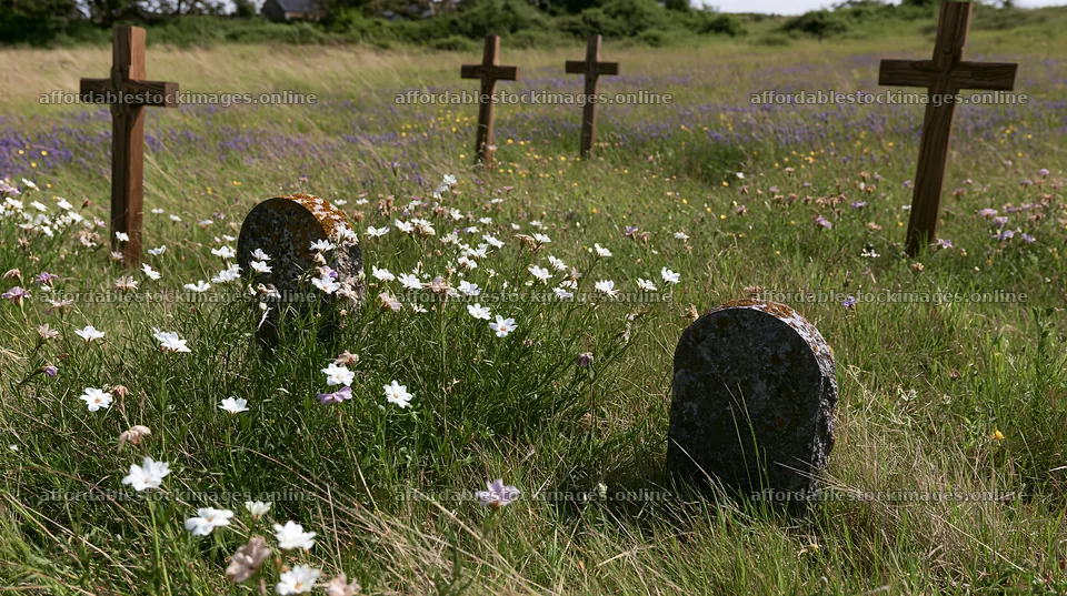 Four wooden crosses in a meadow with white flowers – stock images 10608x5938