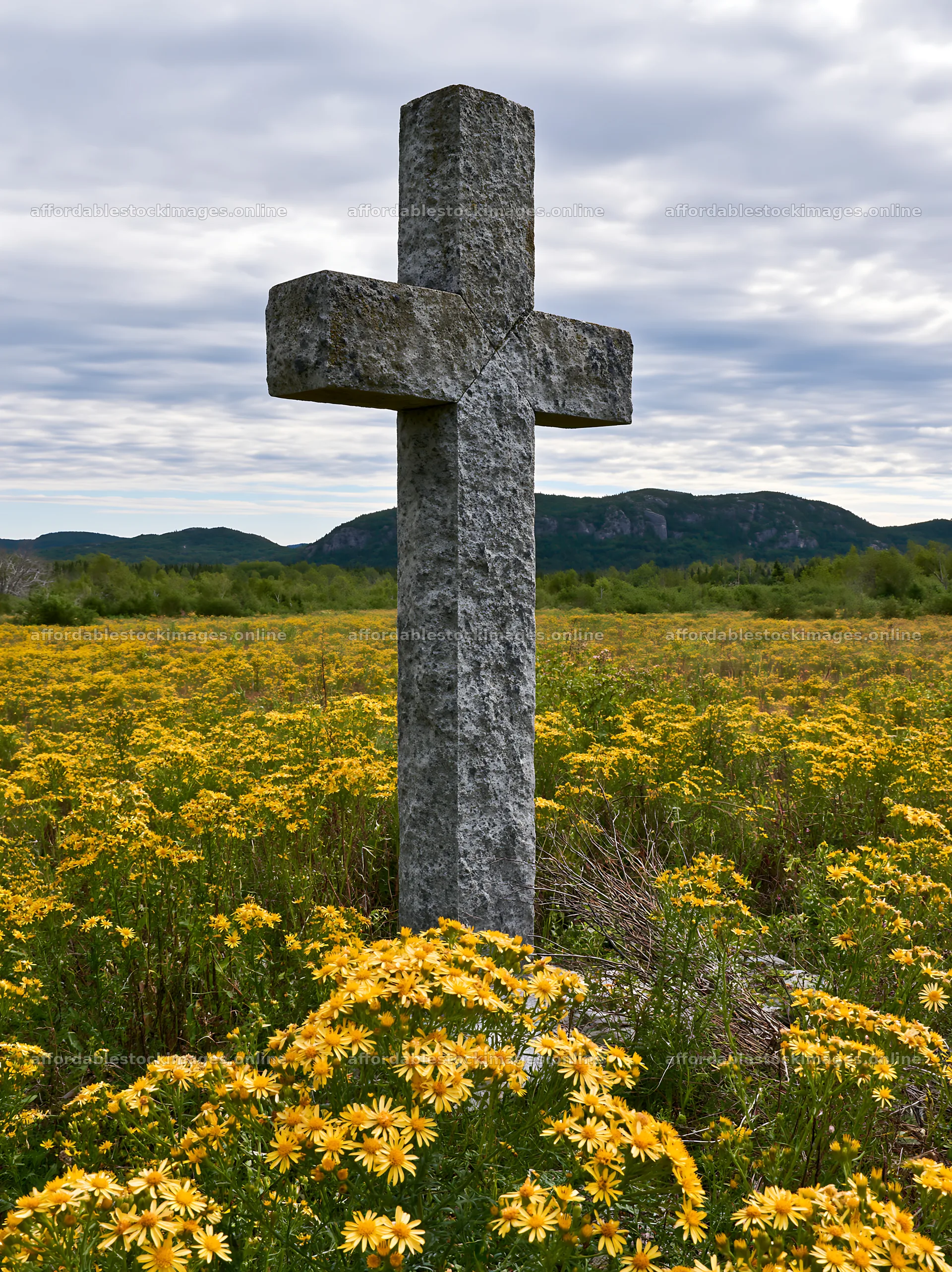 Christian cross in yellow wildflower meadow under cloudy sky – stock images 6866x9174