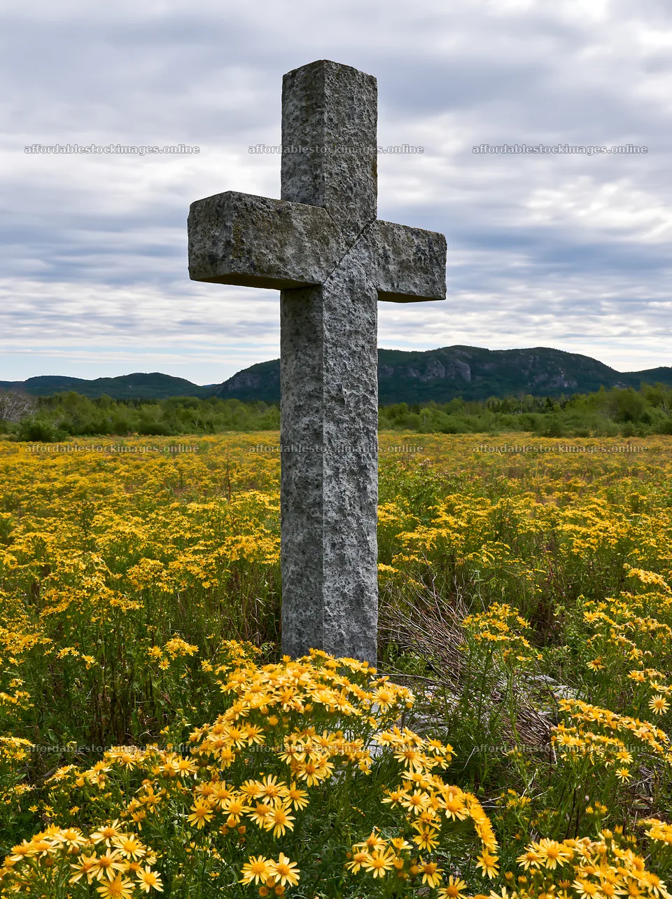 Christian cross in yellow wildflower meadow under cloudy sky – stock images 6866x9174