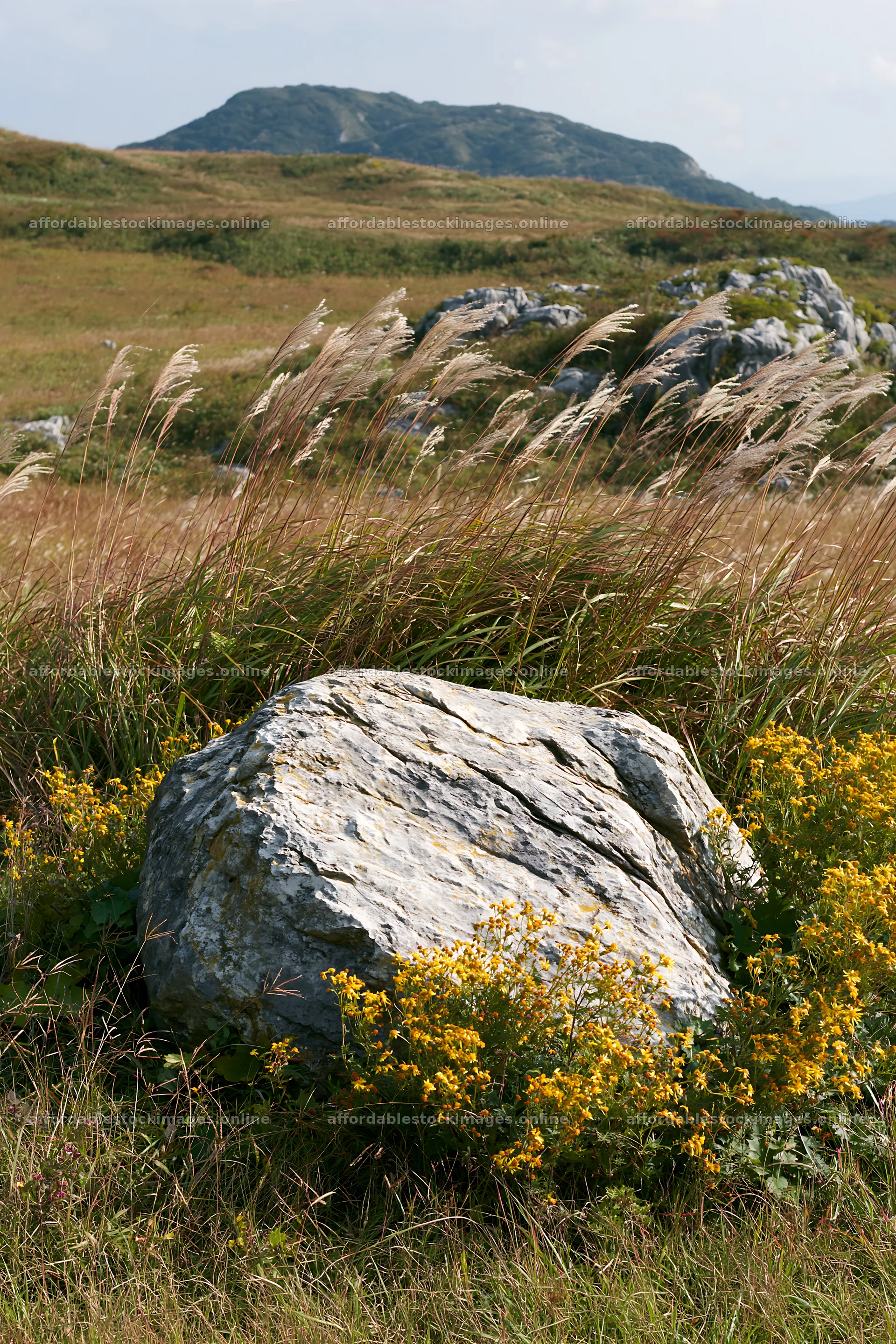 Yamaguchi limestone meadow with pale boulder in natural setting – stock images 6480x9722
