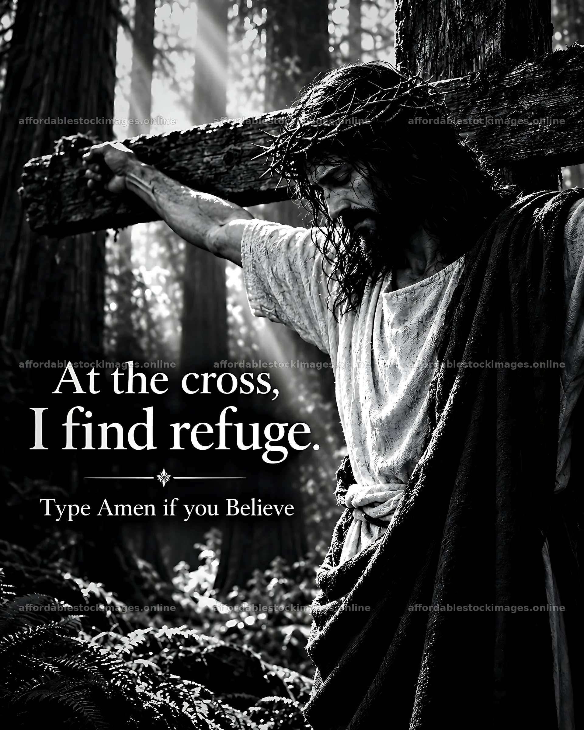 At the cross, I find refuge in the forest – stock images 7100x8872