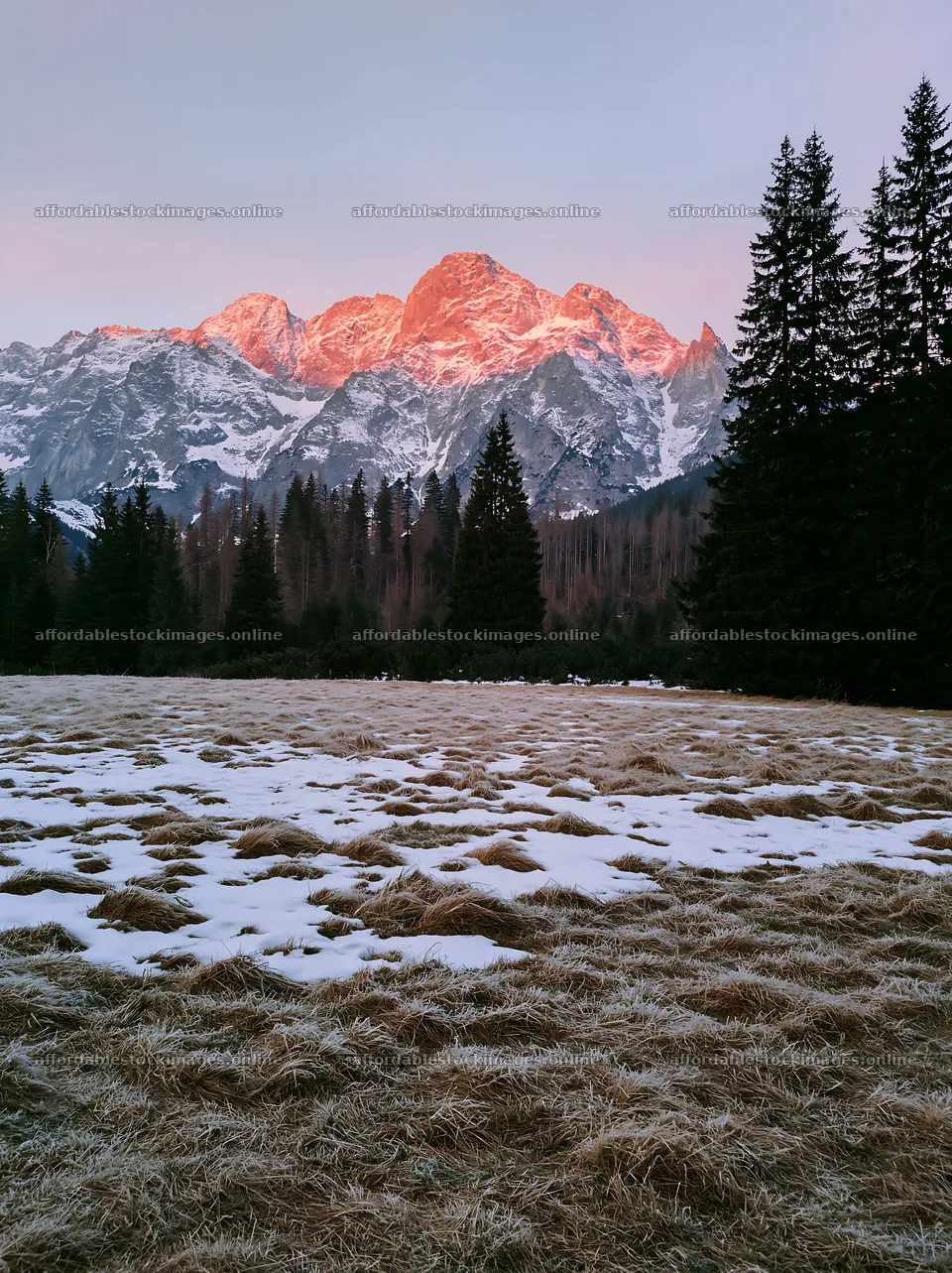 Tatra Mountains meadow during spring snowmelt at dawn – stock images 6866x9174