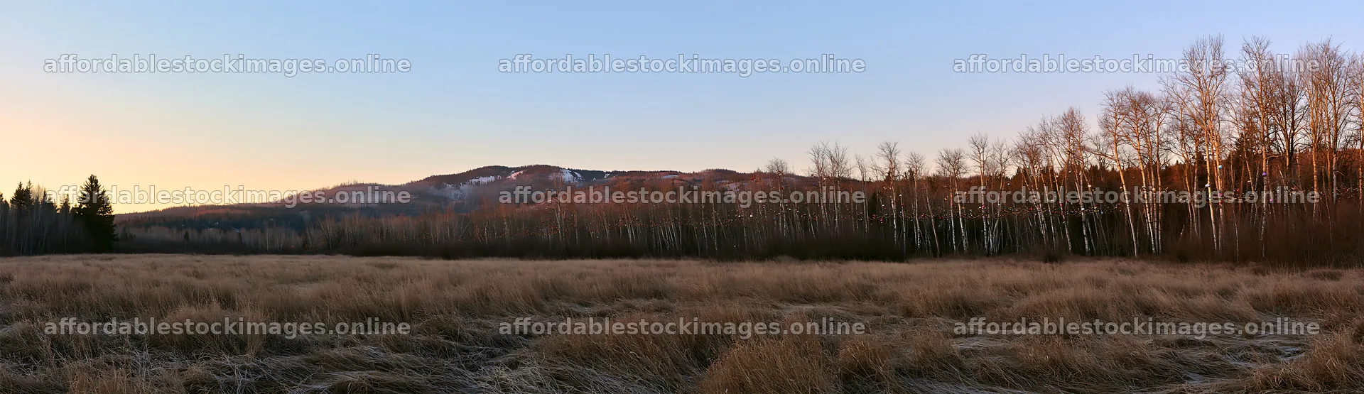Open Christmas meadow with winter grasses and baubles – stock images 14762x4268