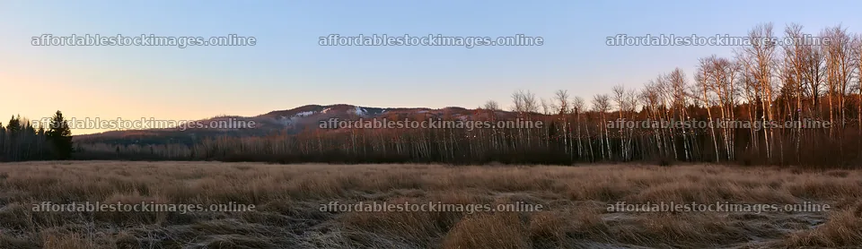 Open Christmas meadow with winter grasses and baubles – stock images 14762x4268