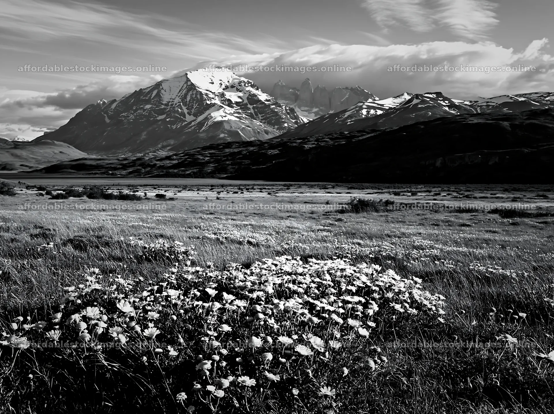 Meadow in valley with mountains in background during day – stock images 9174x6866