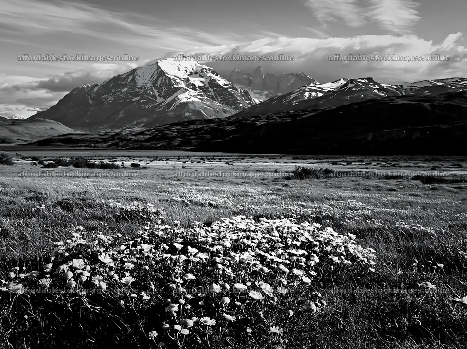 Meadow in valley with mountains in background during day – stock images 9174x6866