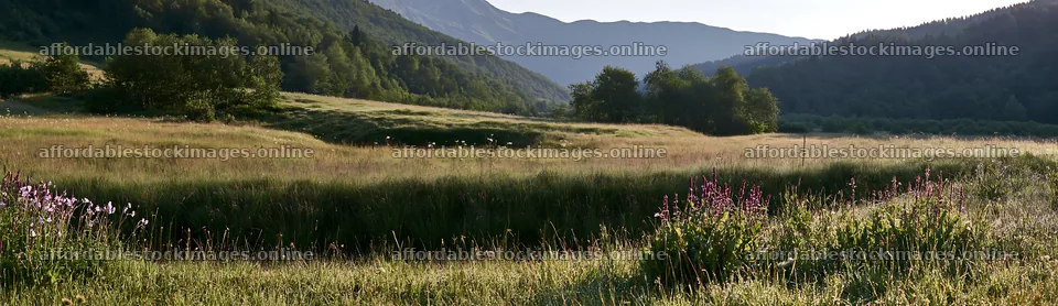 Dewy meadow under morning light with mountains in background – stock images 14762x4268