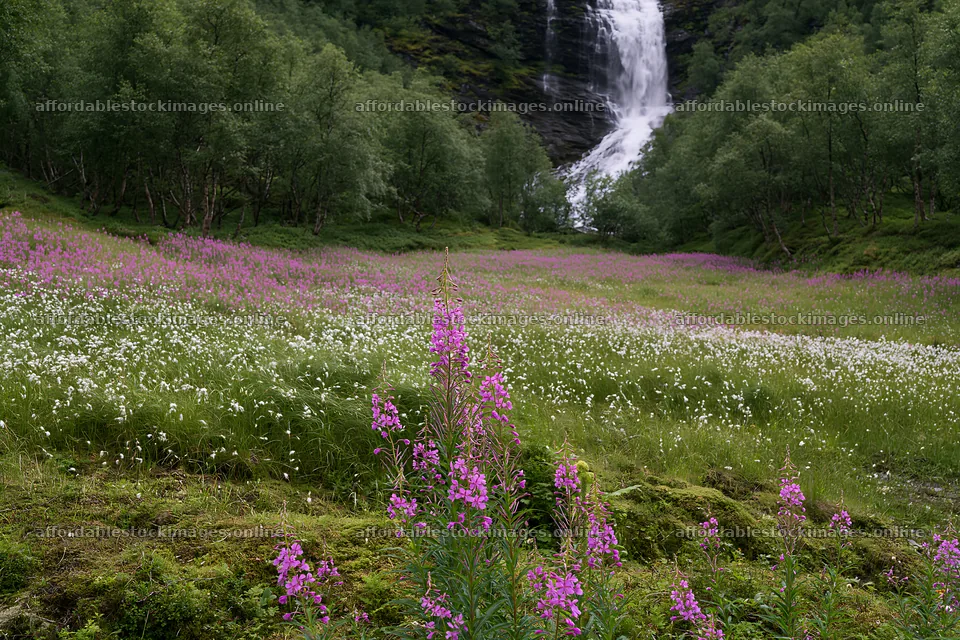 Wildflower meadow at base of waterfall with green trees – stock images 9722x6480