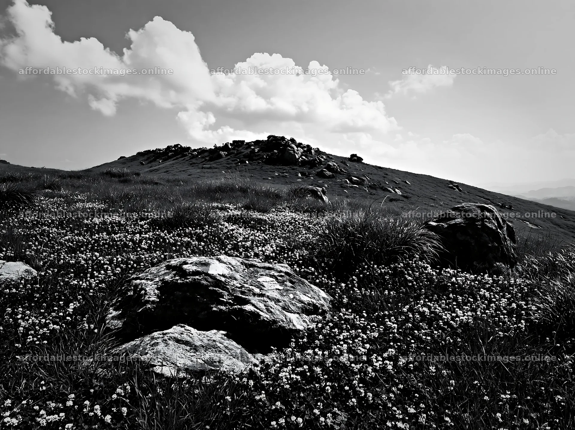 Oita highland meadow with granite stones and flowers – stock images 9174x6866