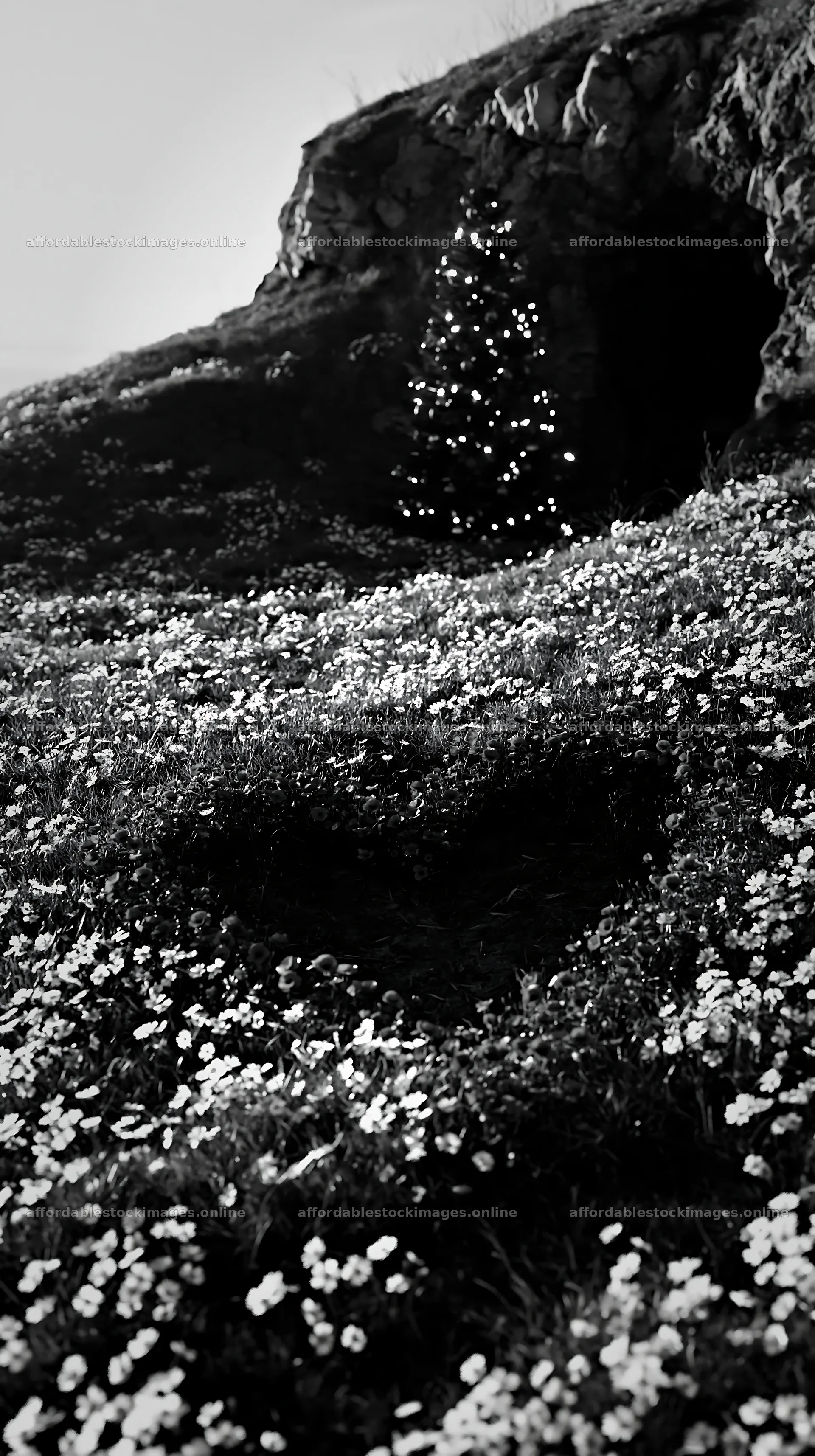 Christmas tree beside cave in meadow with flowers – stock images 5938x10608
