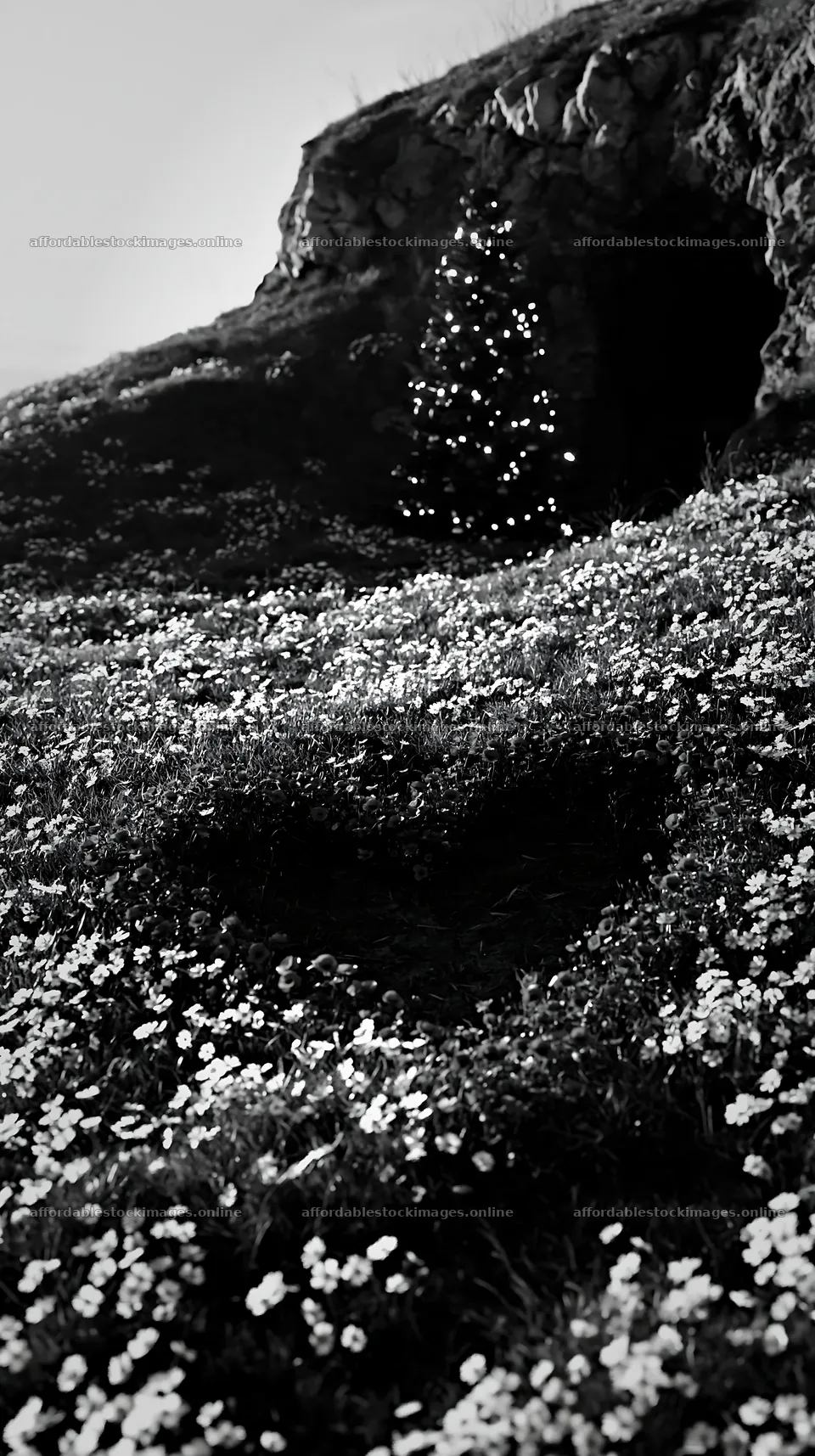 Christmas tree beside cave in meadow with flowers – stock images 5938x10608