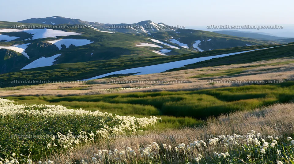 Akita snowmelt meadow with silver grasses under clear sky – stock images 10608x5938