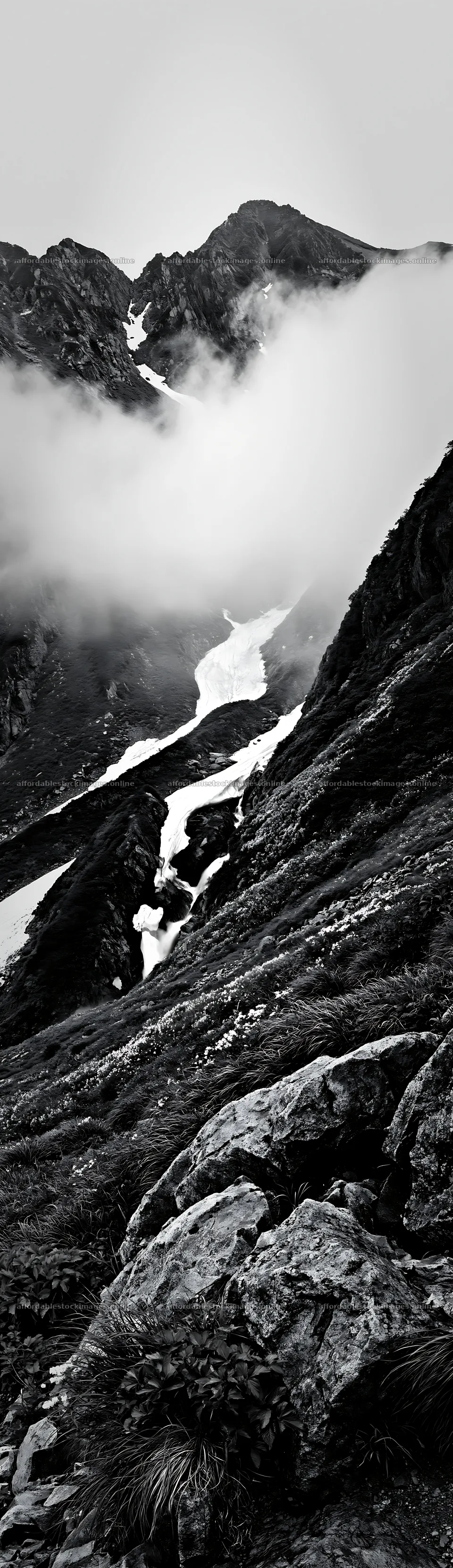 Toyama alpine meadow snowmelt rock foreground in black and white – stock images 4268x14762