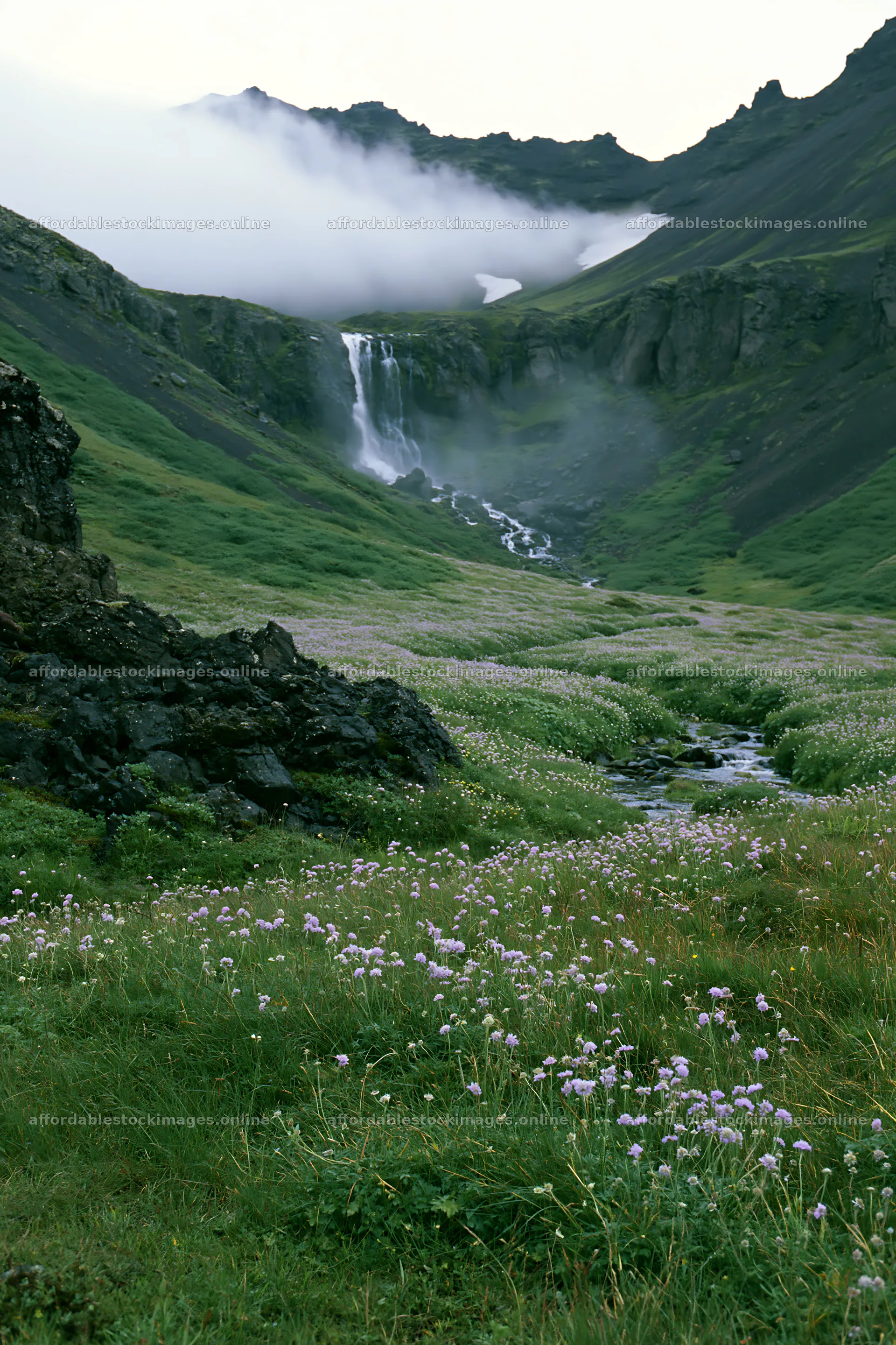 Flowing waterfall in a flowering meadow near mountains – stock images 6480x9722