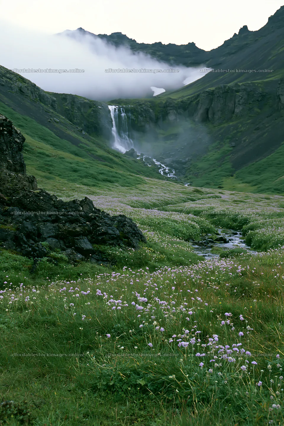 Flowing waterfall in a flowering meadow near mountains – stock images 6480x9722