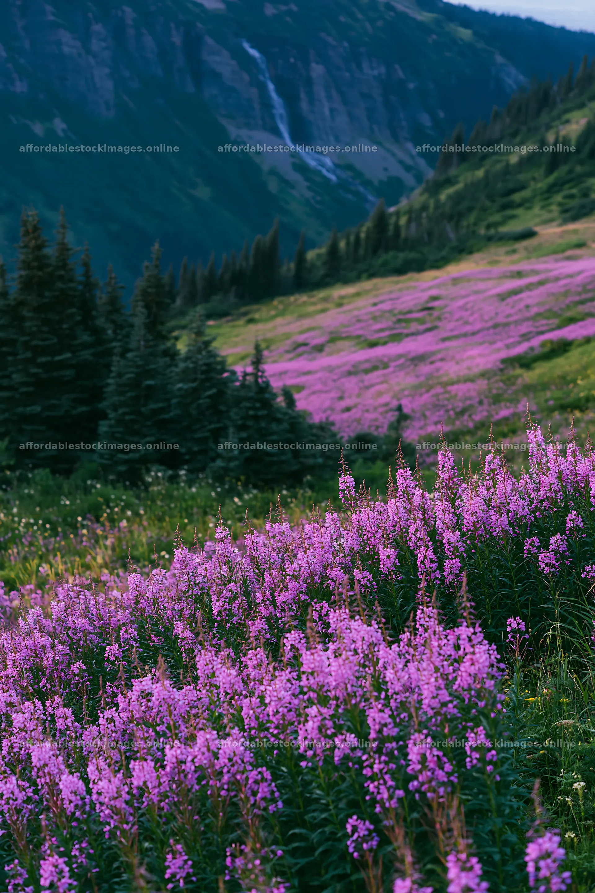 Mountain flower meadow with waterfall in the background – stock images 6480x9722