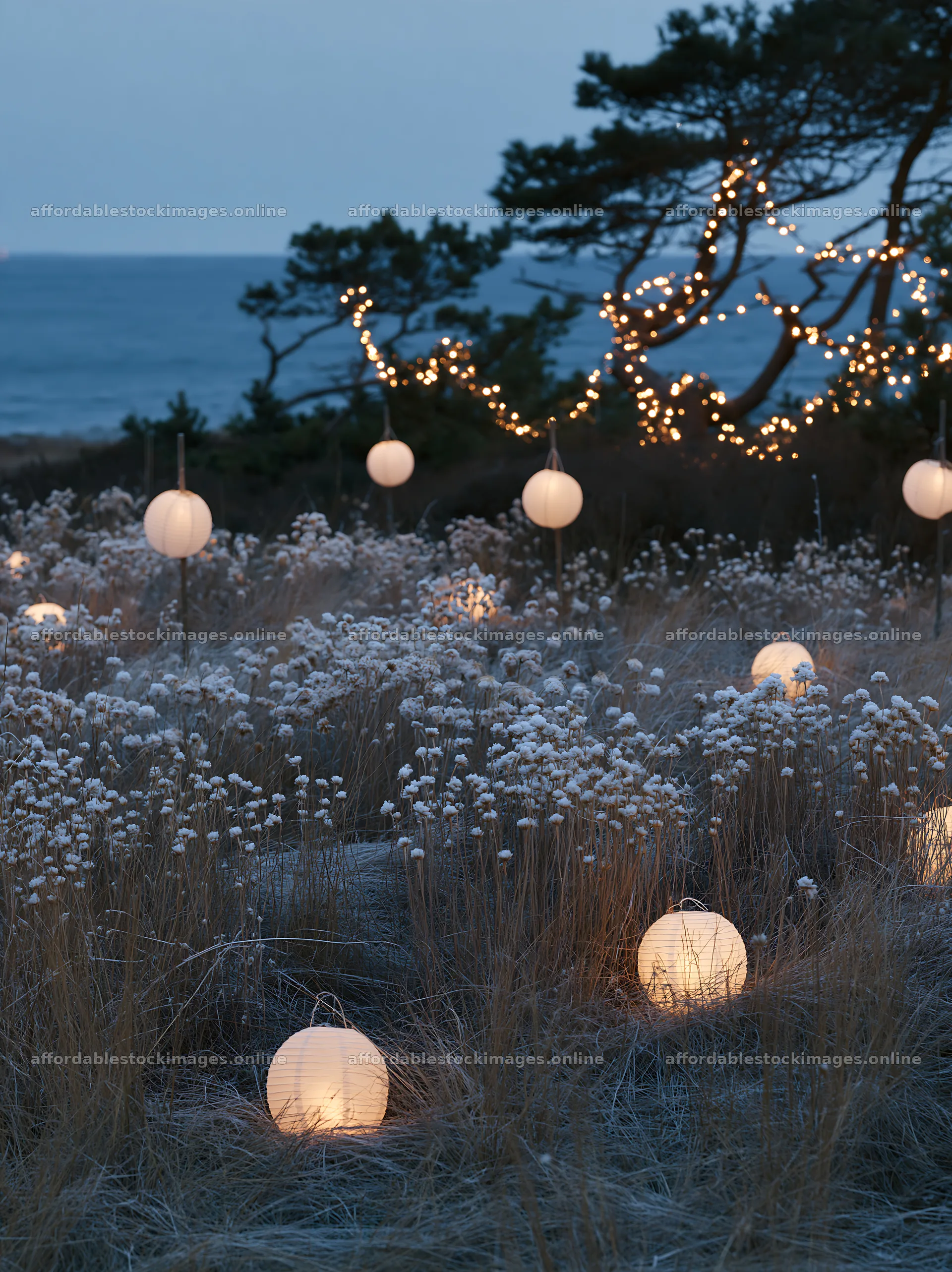 Vast Christmas meadow with frost seedheads and lanterns – stock images 6866x9174