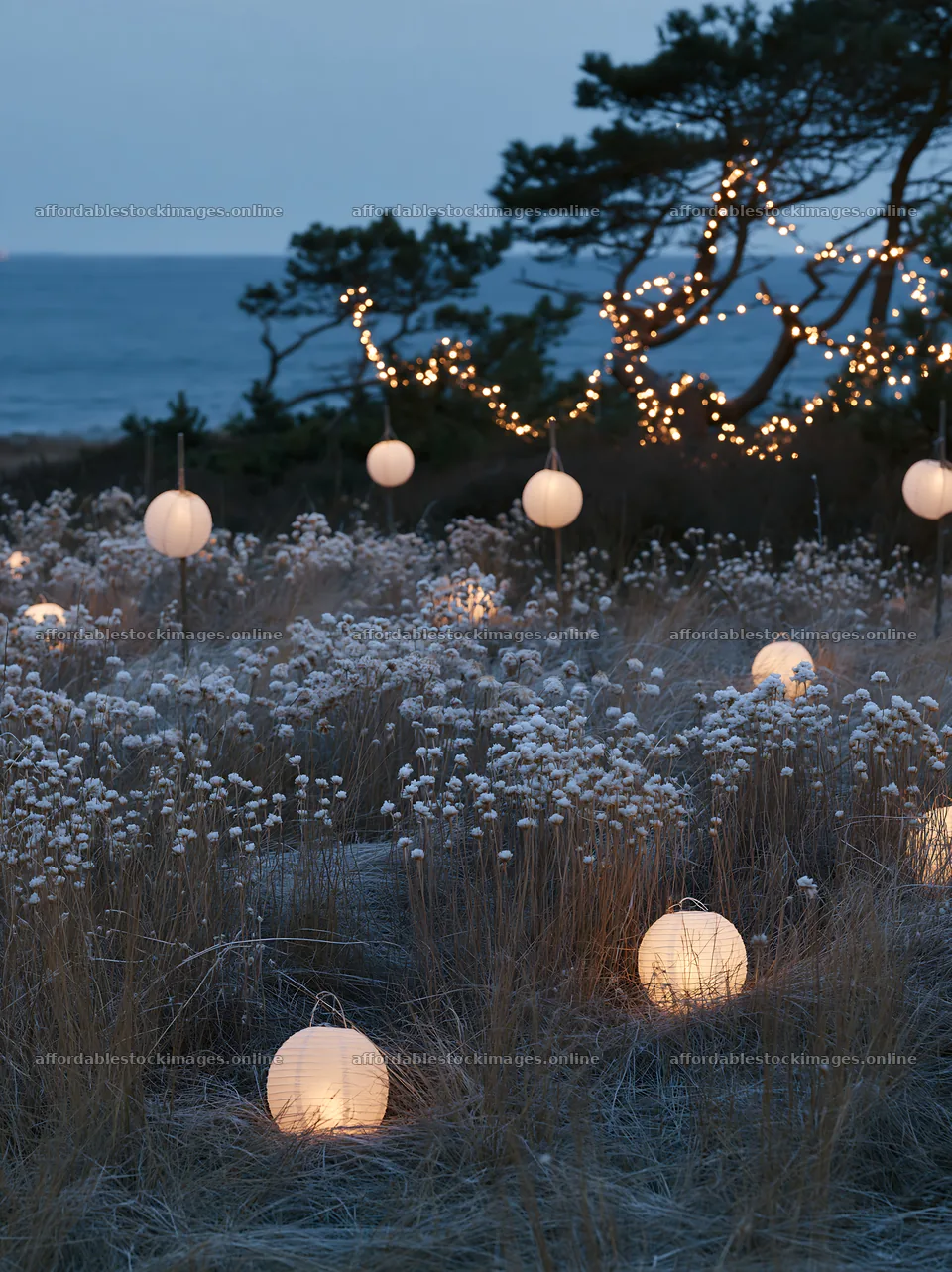 Vast Christmas meadow with frost seedheads and lanterns – stock images 6866x9174