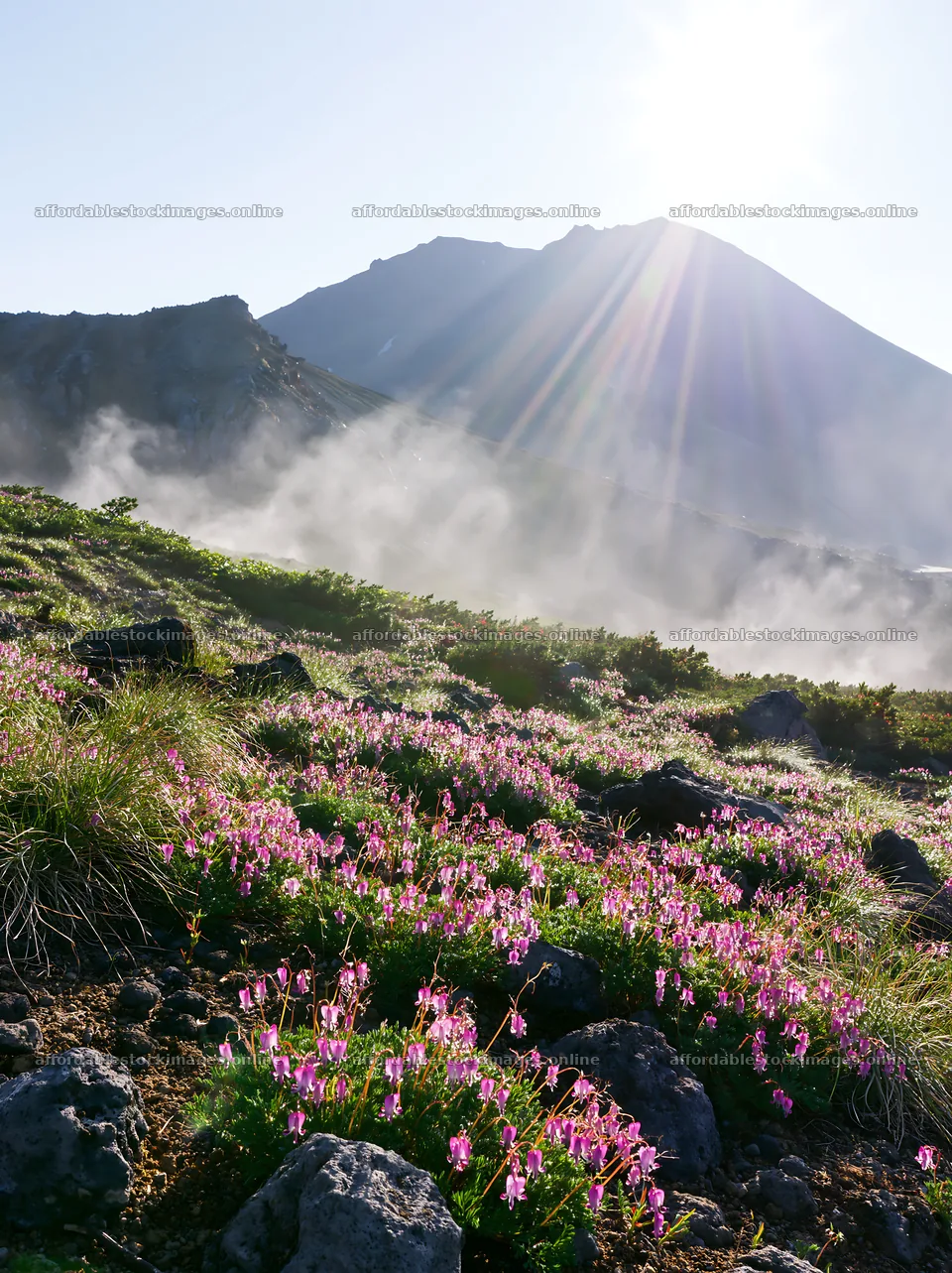 Daisetsuzan alpine meadow with light rays – stock images 6866x9174