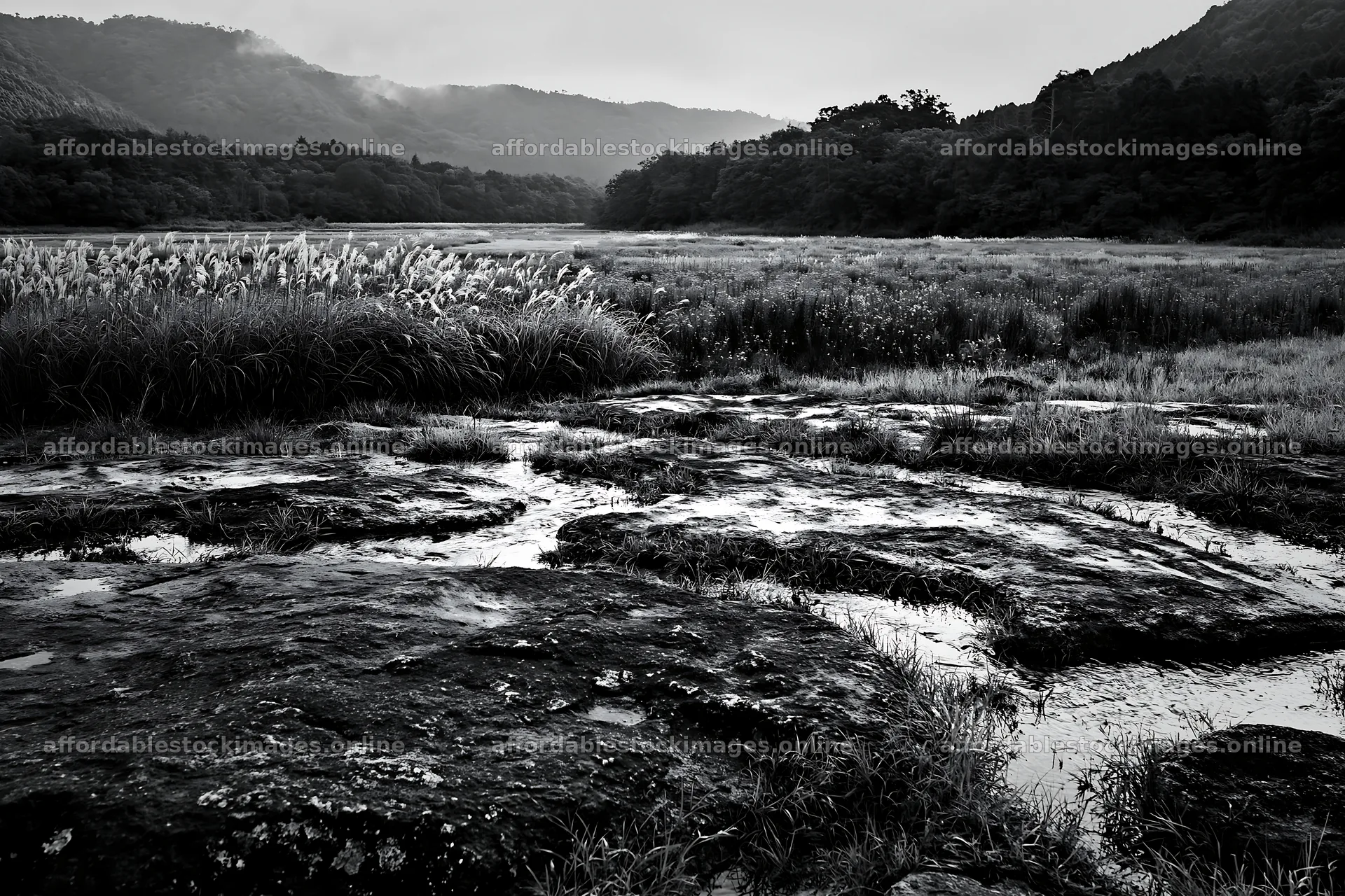 Hiroshima meadow with smooth rocks and rain – stock images 9722x6480